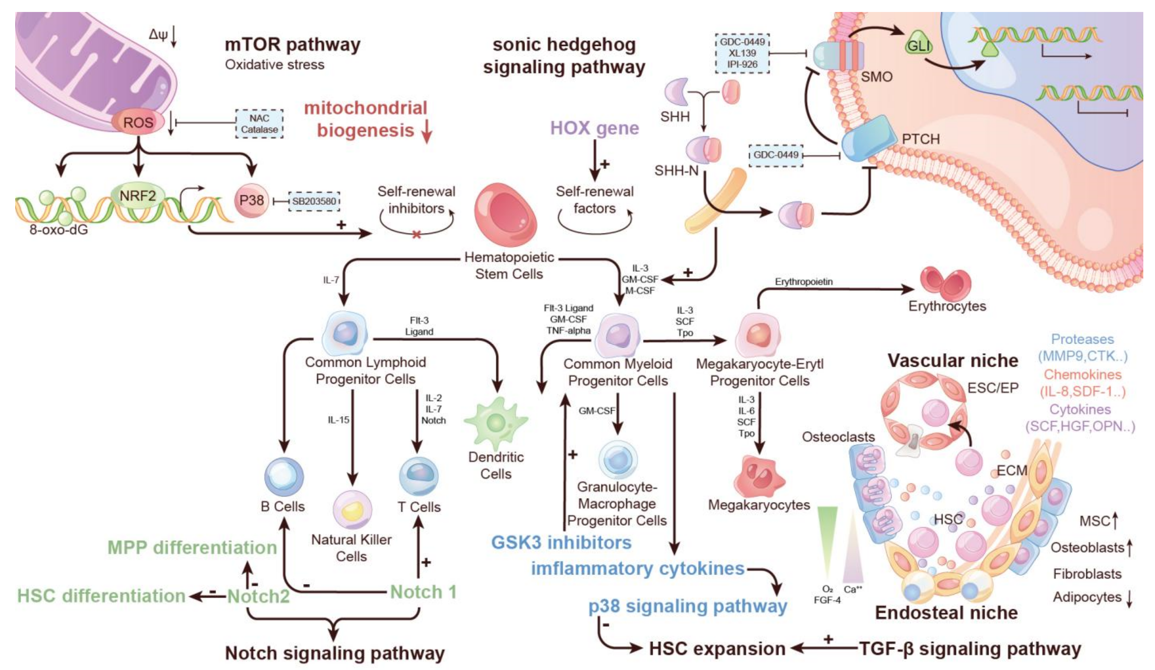 Life 12 00716 g002 Life 12 00716 g002