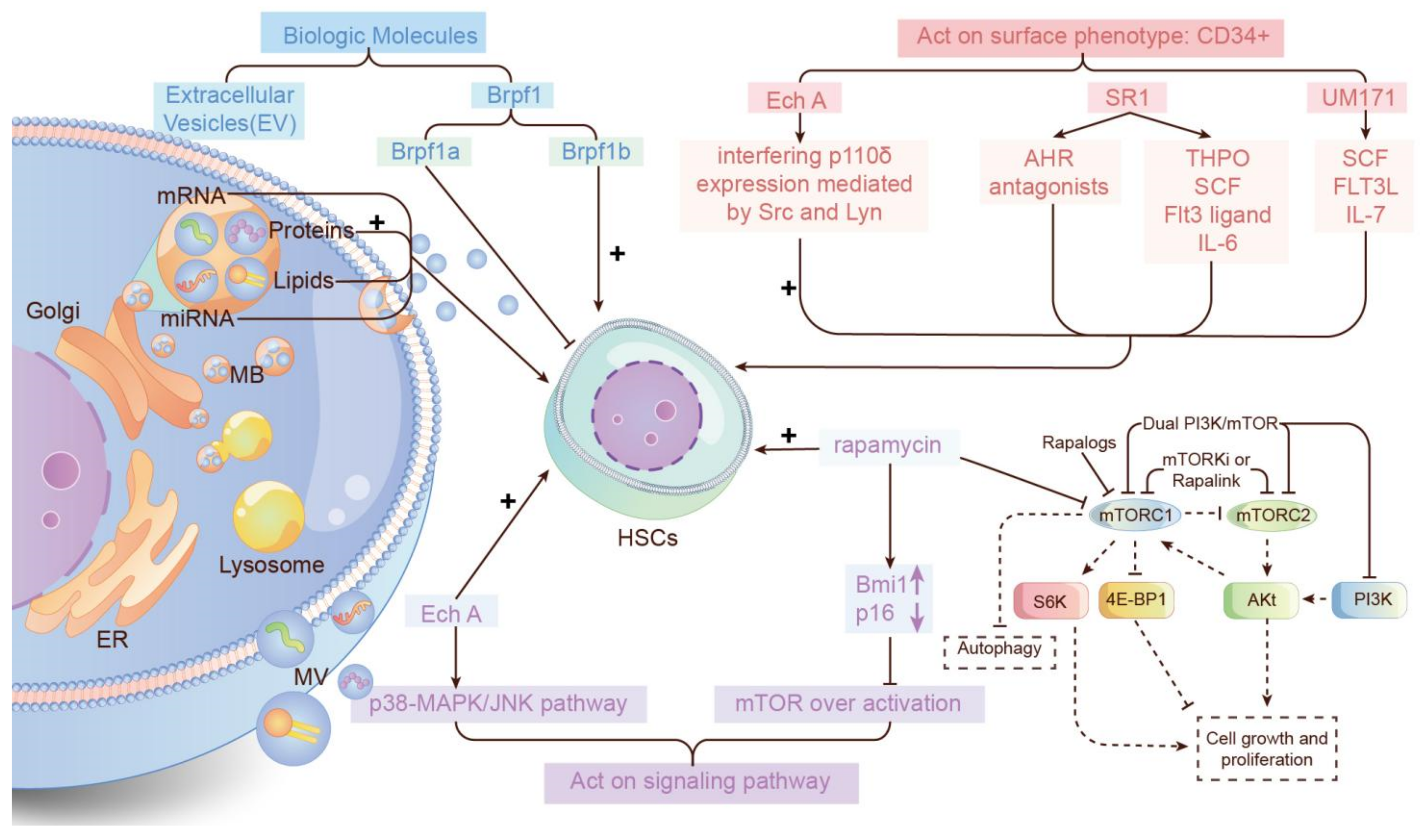 Life 12 00716 g003 Life 12 00716 g003
