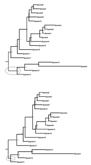 PhyloM: A Computer Program for Phylogenetic Inference from Measurement ...