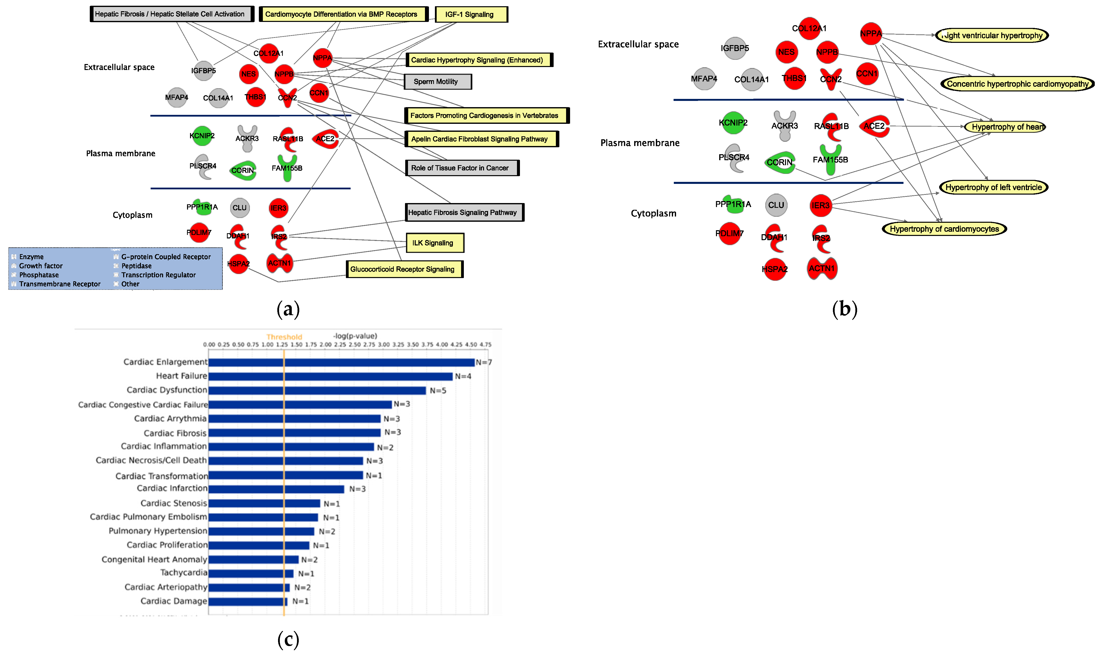 Life 12 00726 g002 550