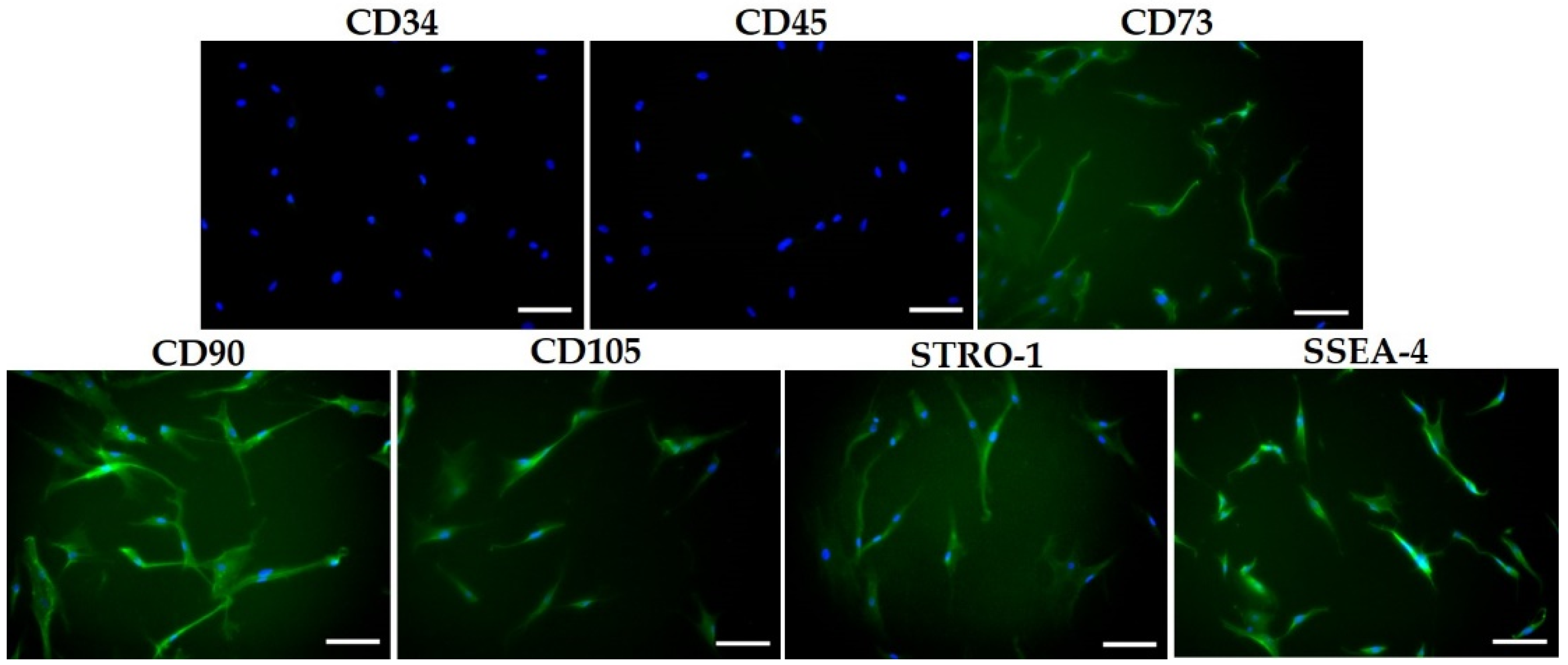 Life 12 00736 g001 550
