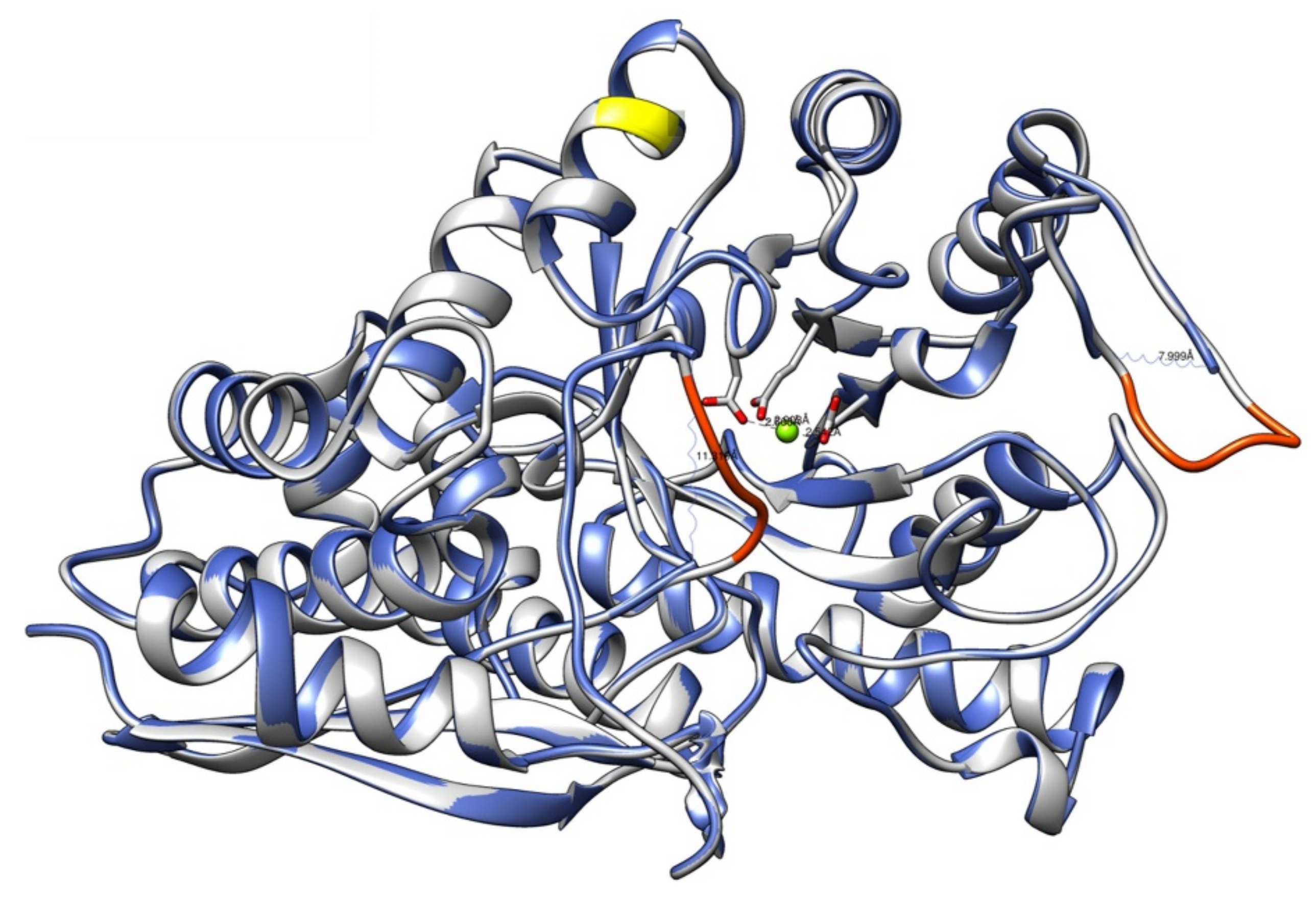 Life 12 00746 g003 550