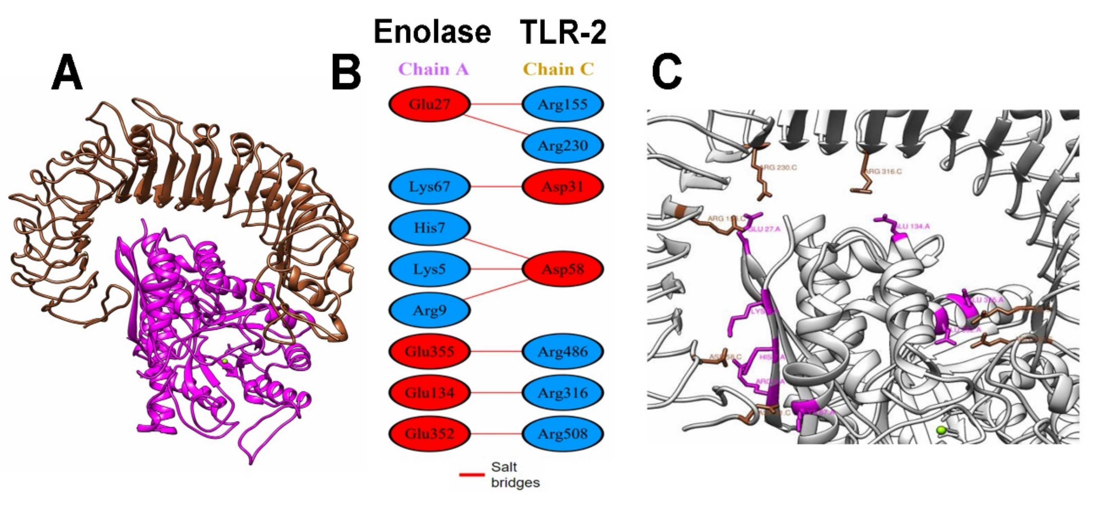 Life 12 00746 g006 550