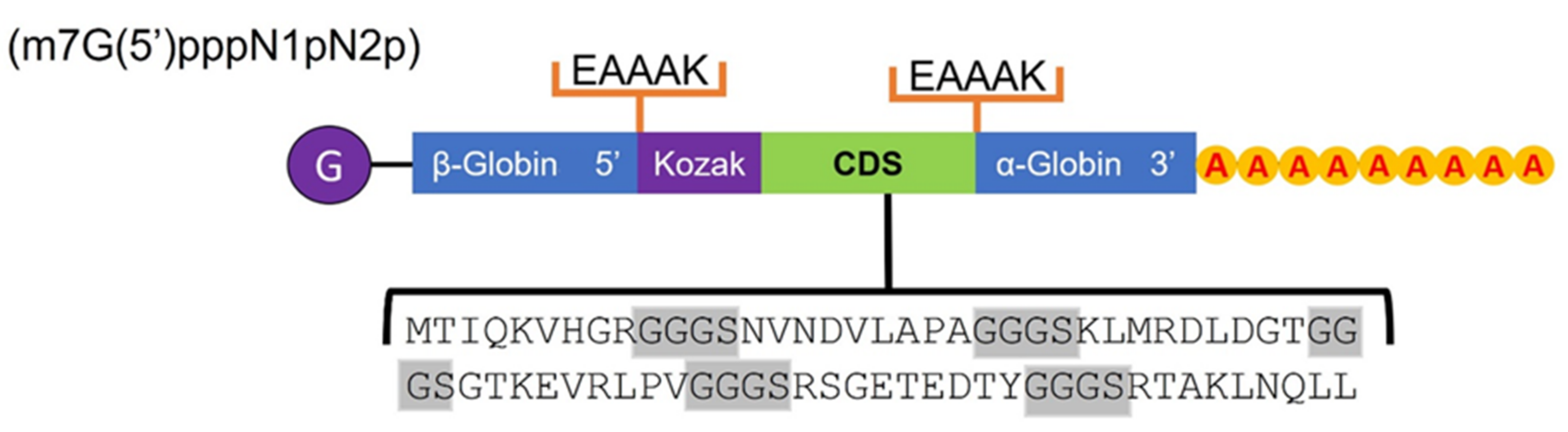 Life 12 00746 g008 550