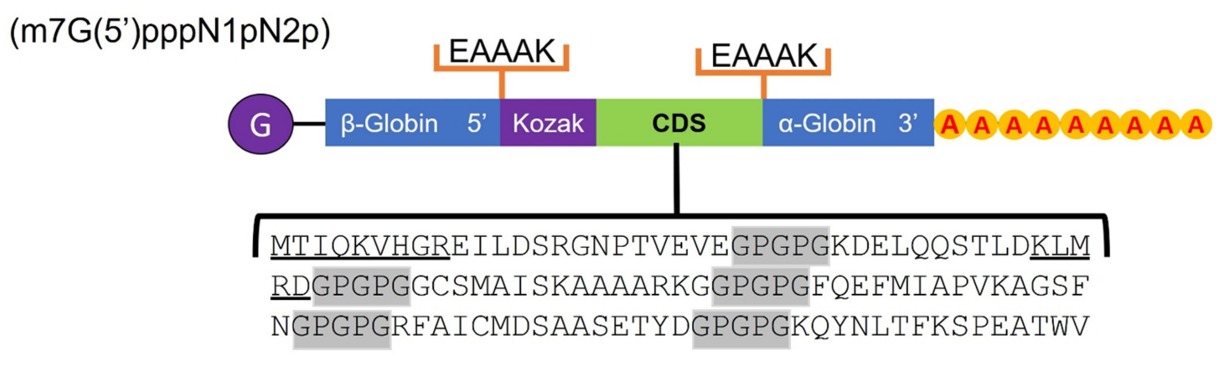 Life 12 00746 g009 550