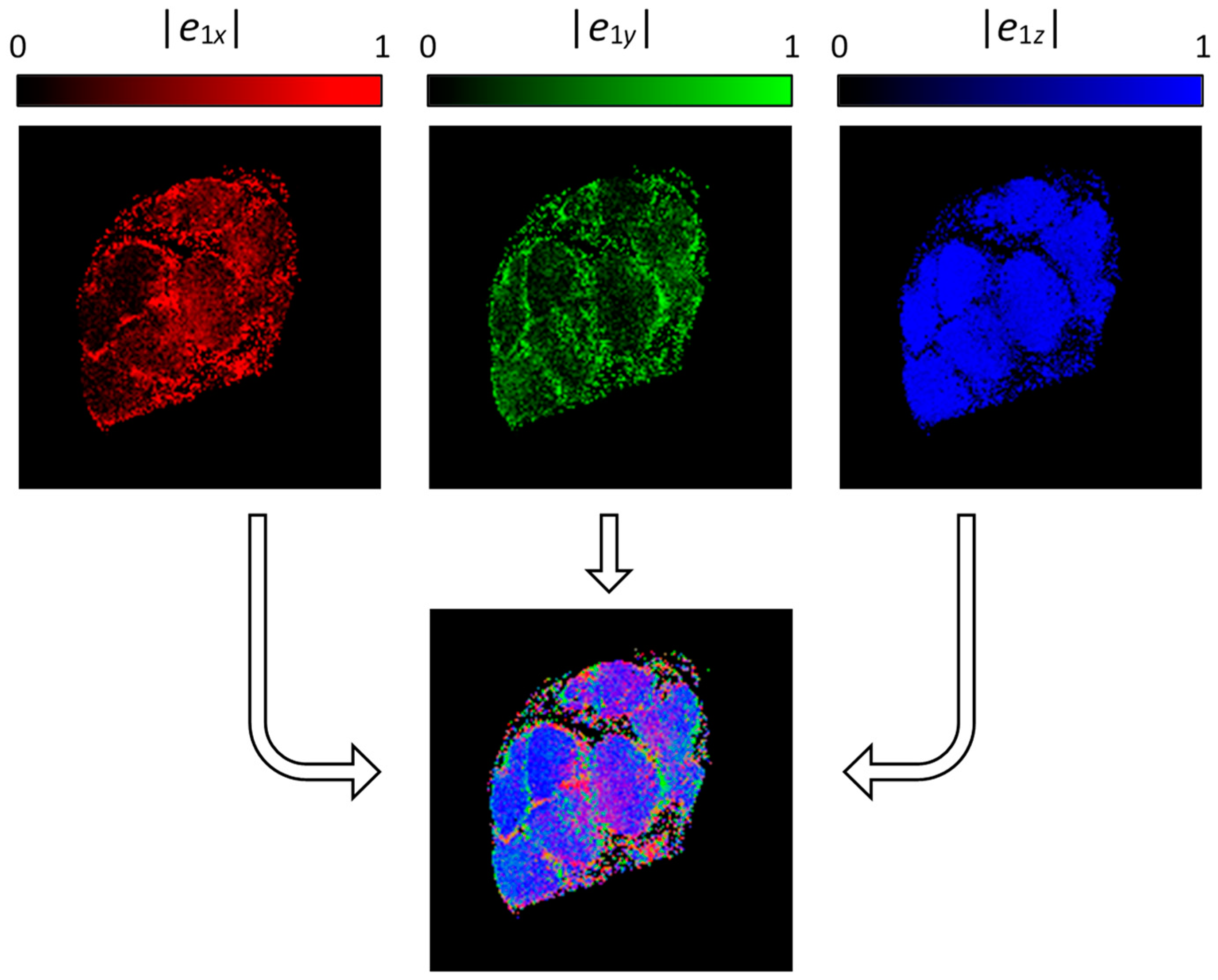 Life 12 00748 g004 550