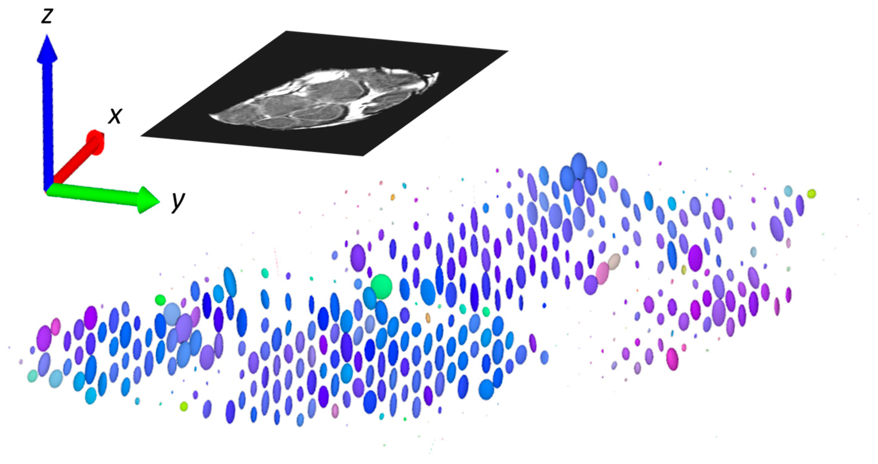 Life 12 00748 g005 550