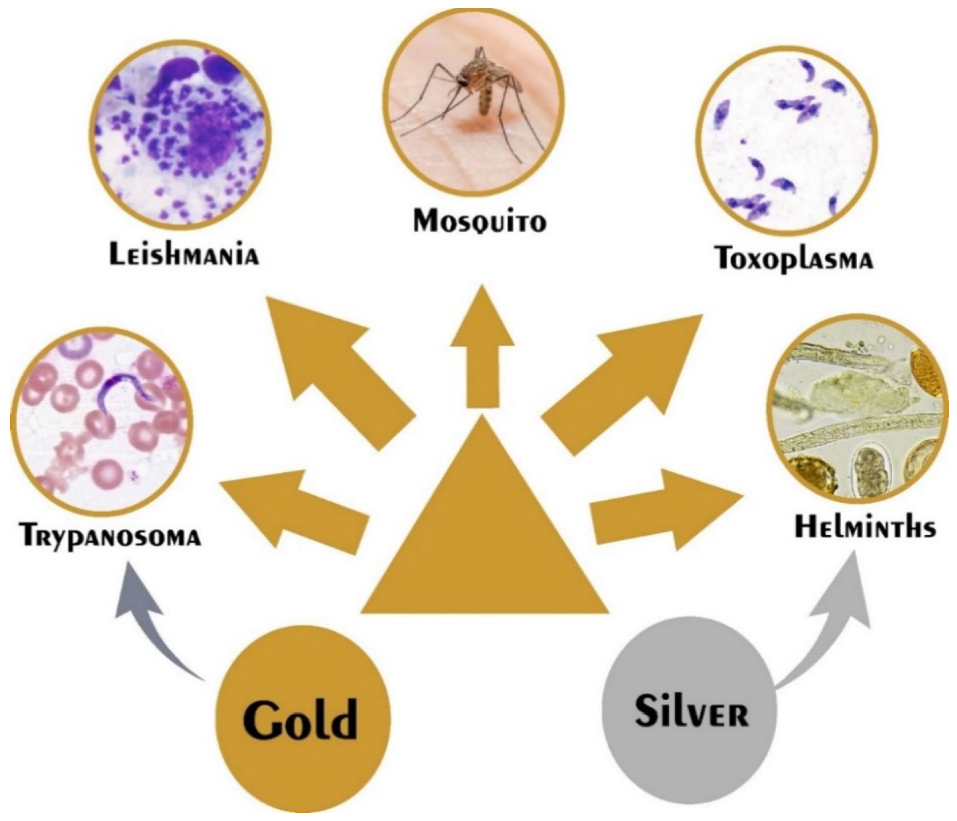 Life 12 00750 g002 Life 12 00750 g002