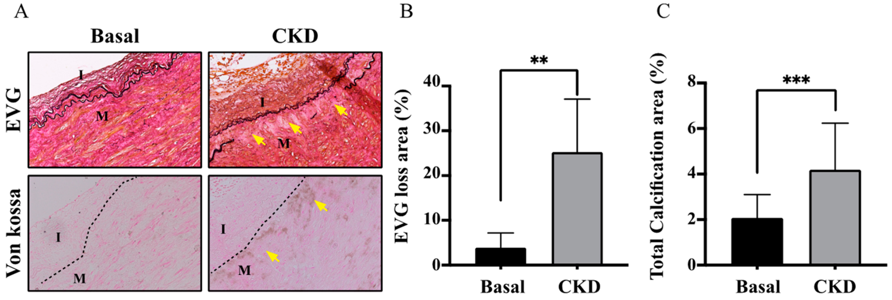 Life 12 00769 g001 Life 12 00769 g001
