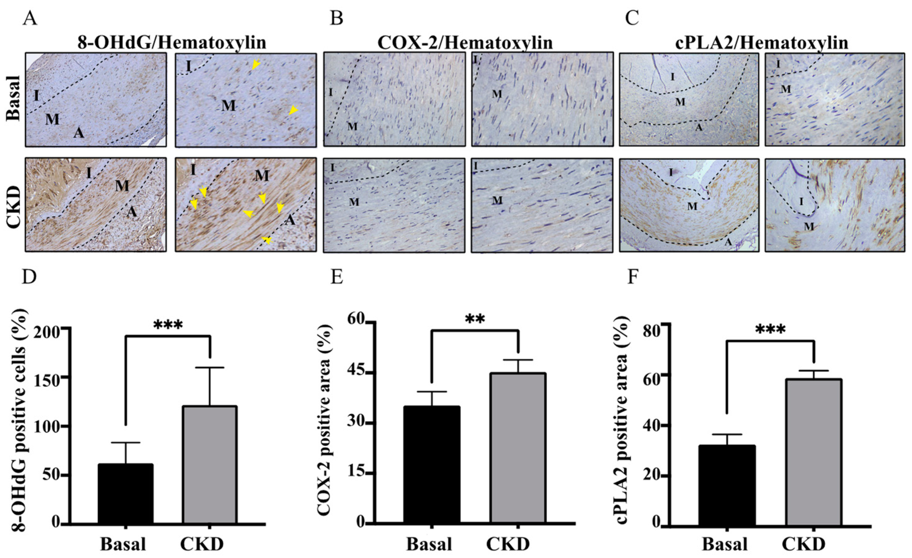 Life 12 00769 g002 Life 12 00769 g002