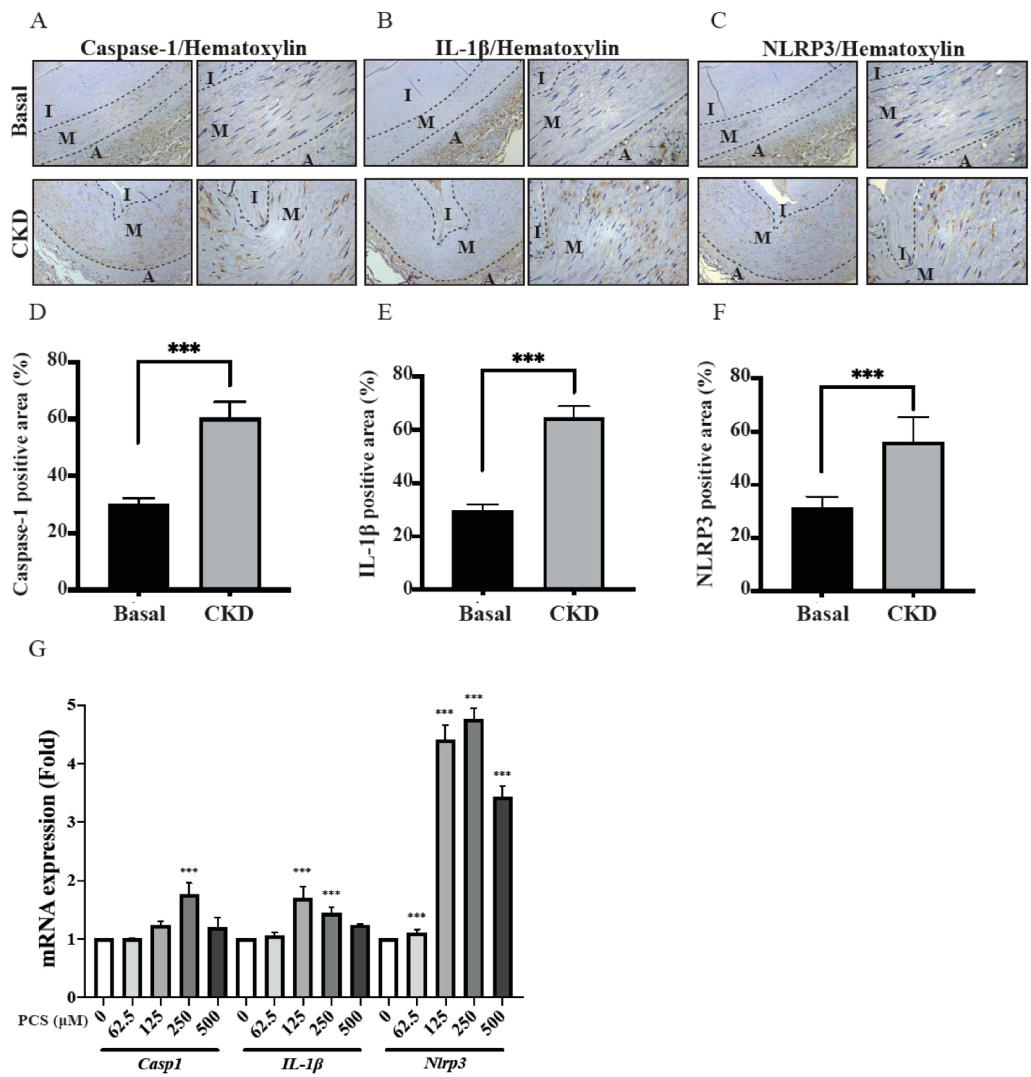 Life 12 00769 g003 Life 12 00769 g003