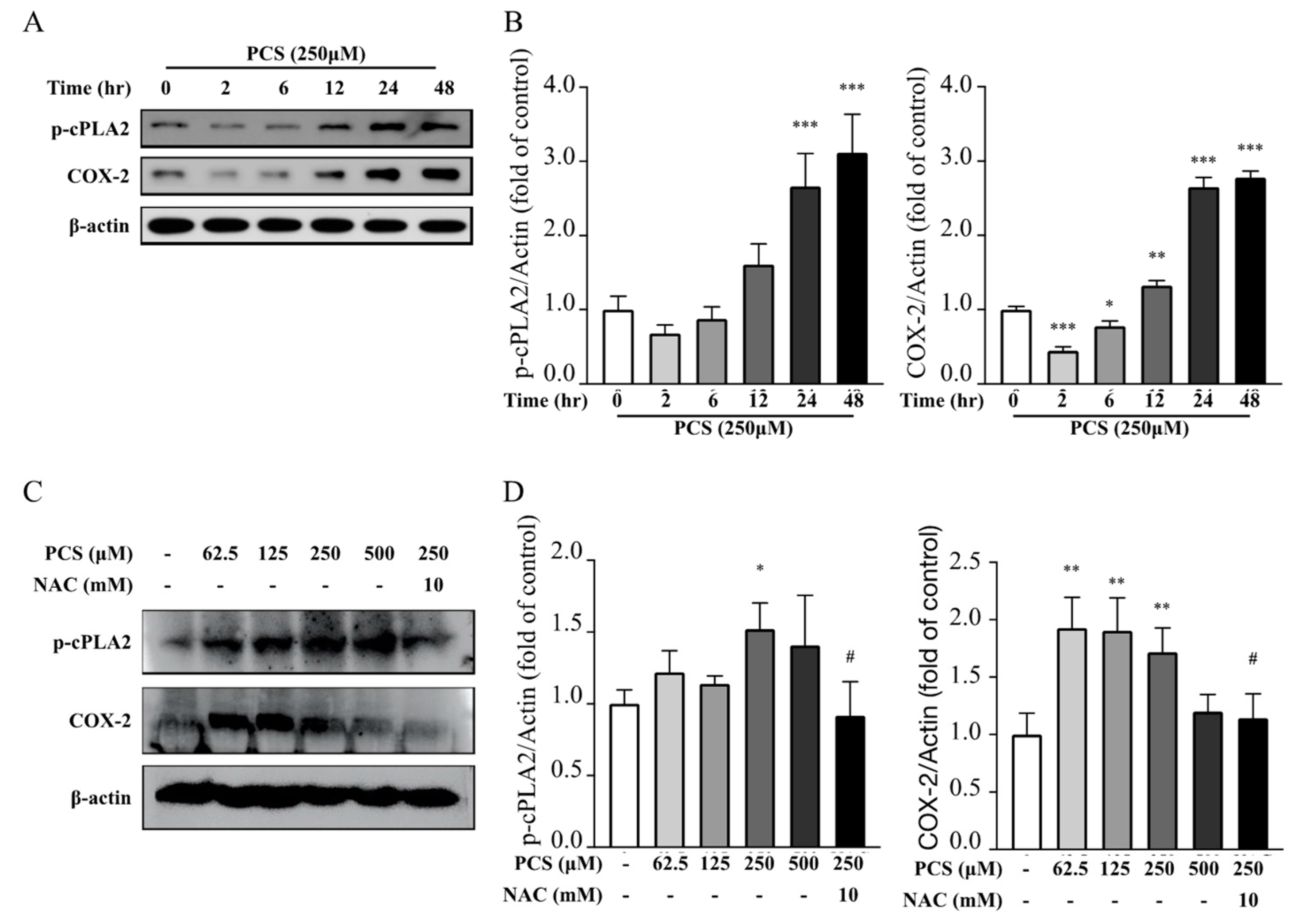 Life 12 00769 g004 Life 12 00769 g004