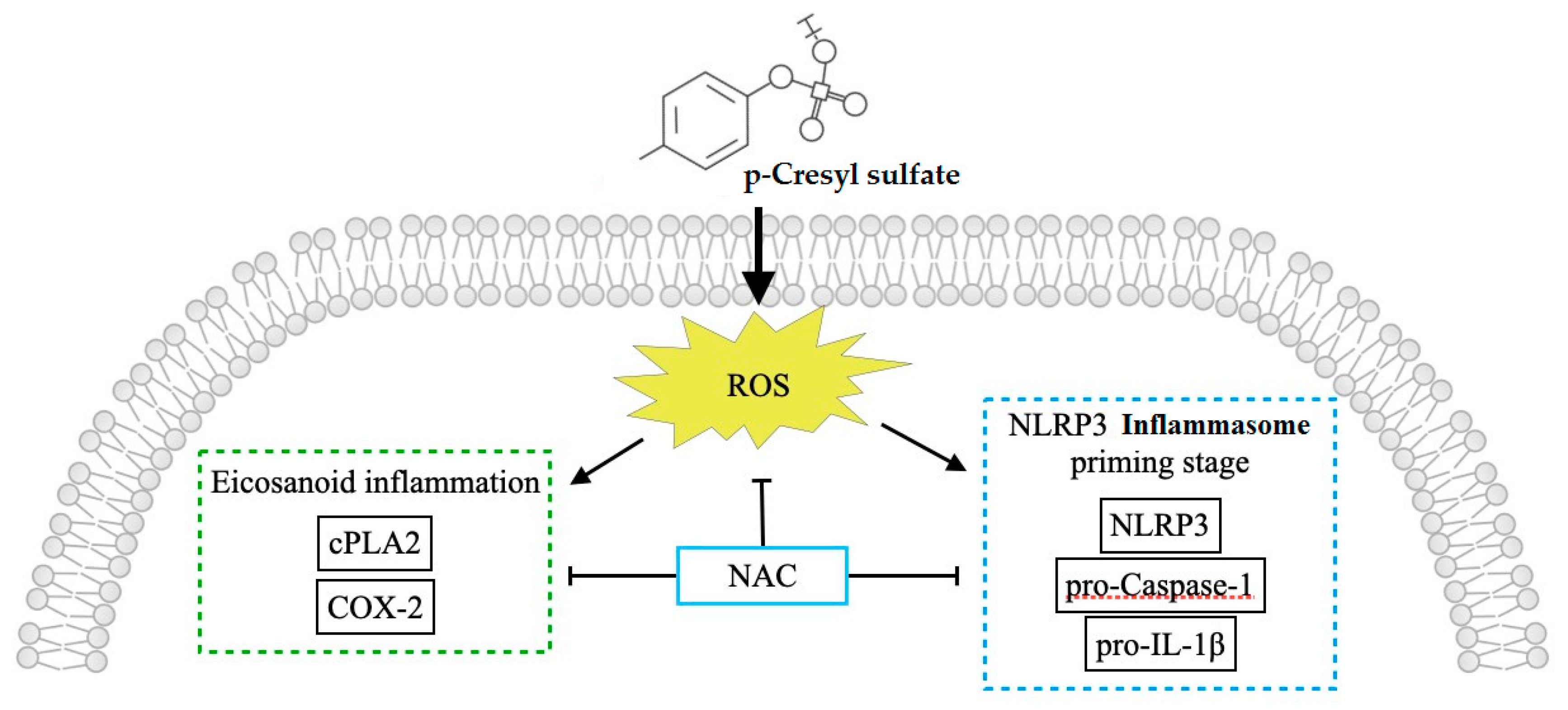 Life 12 00769 g006 Life 12 00769 g006