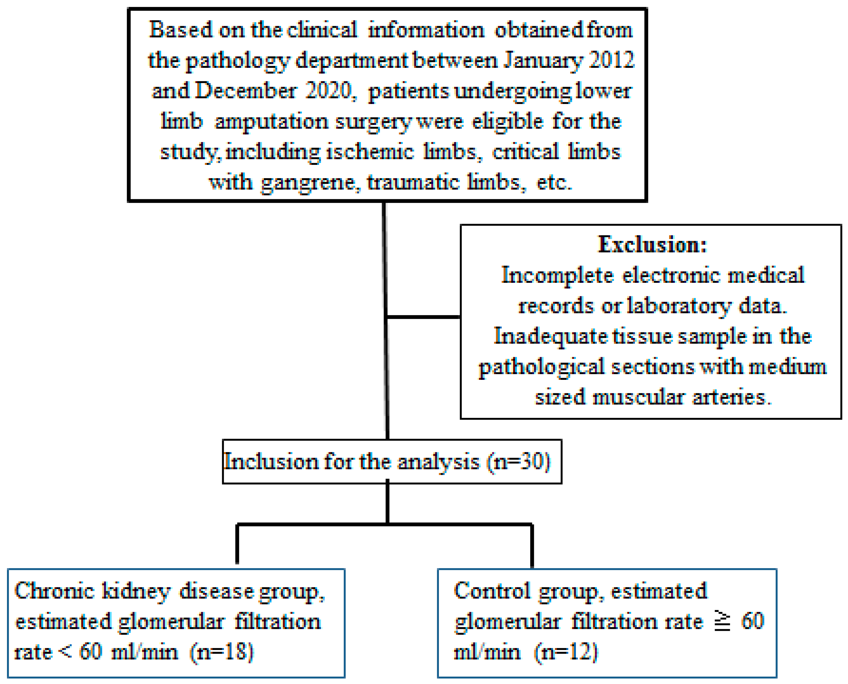 Life 12 00769 g007 Life 12 00769 g007