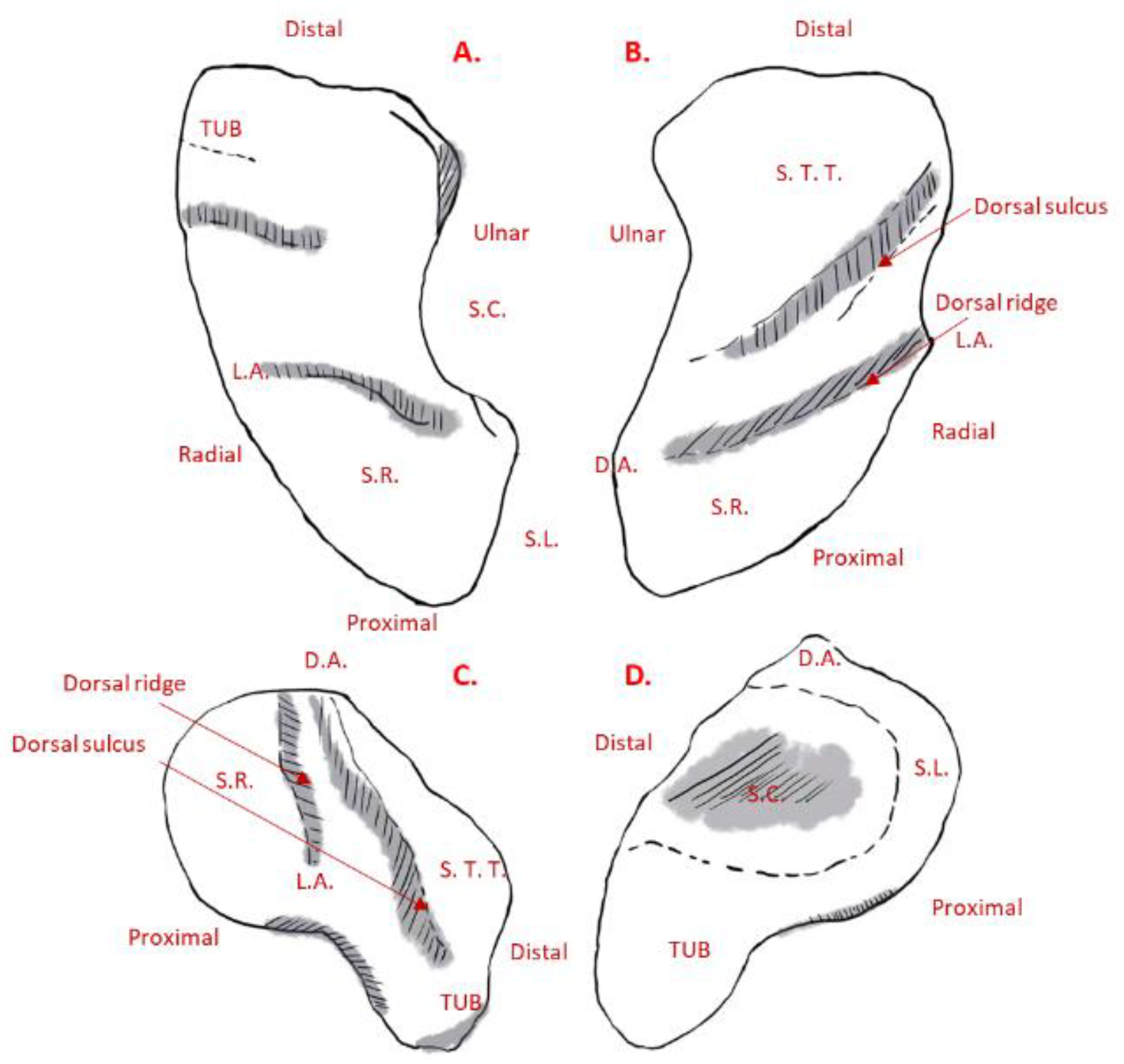 Life 12 00770 g004 550