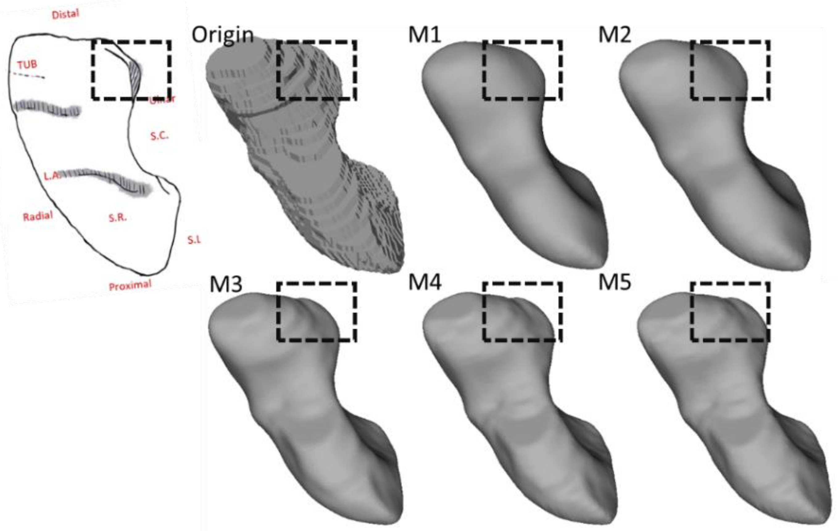Life 12 00770 g011 550