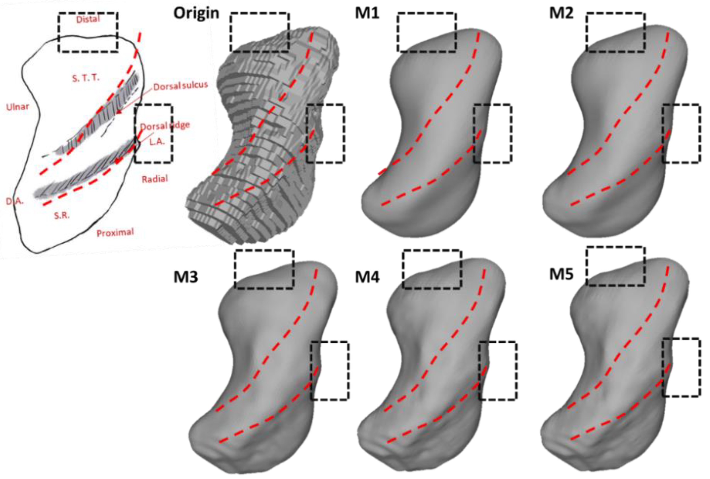Life 12 00770 g012 550