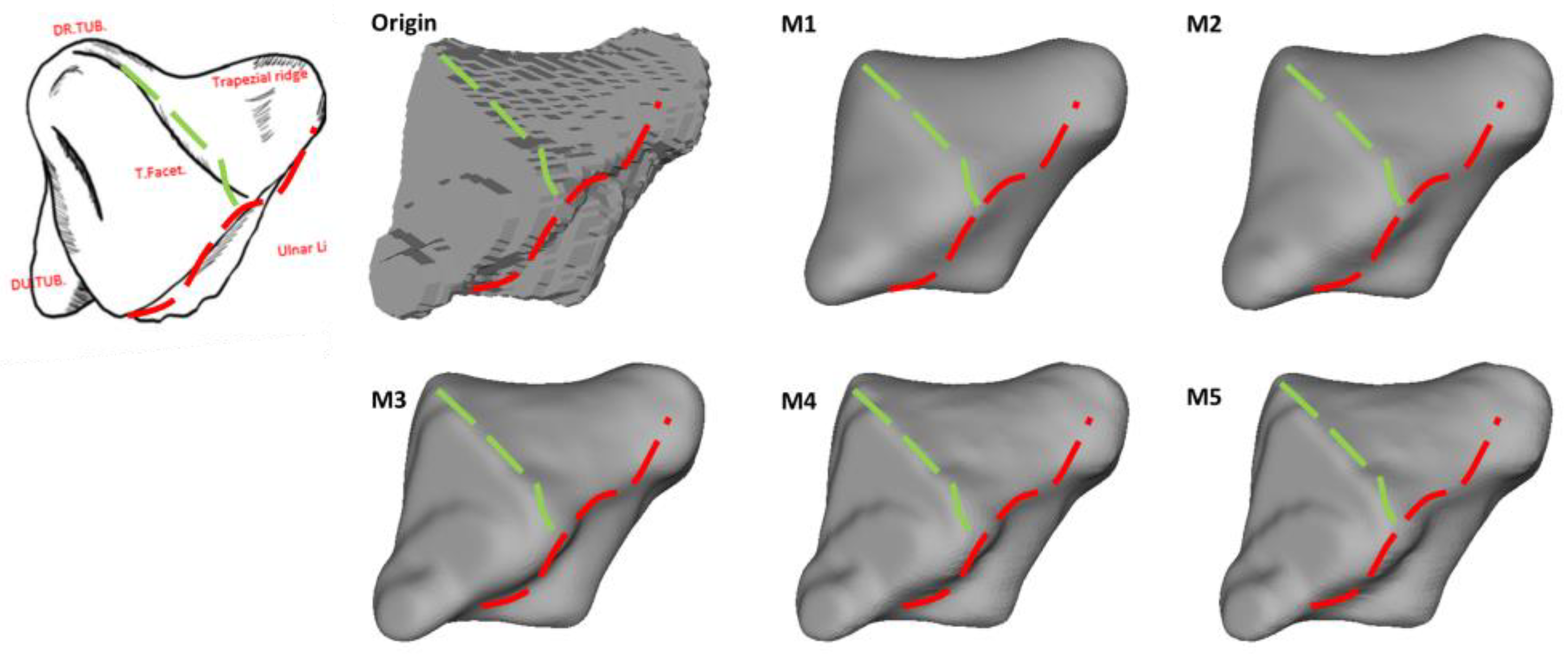 Life 12 00770 g015 550