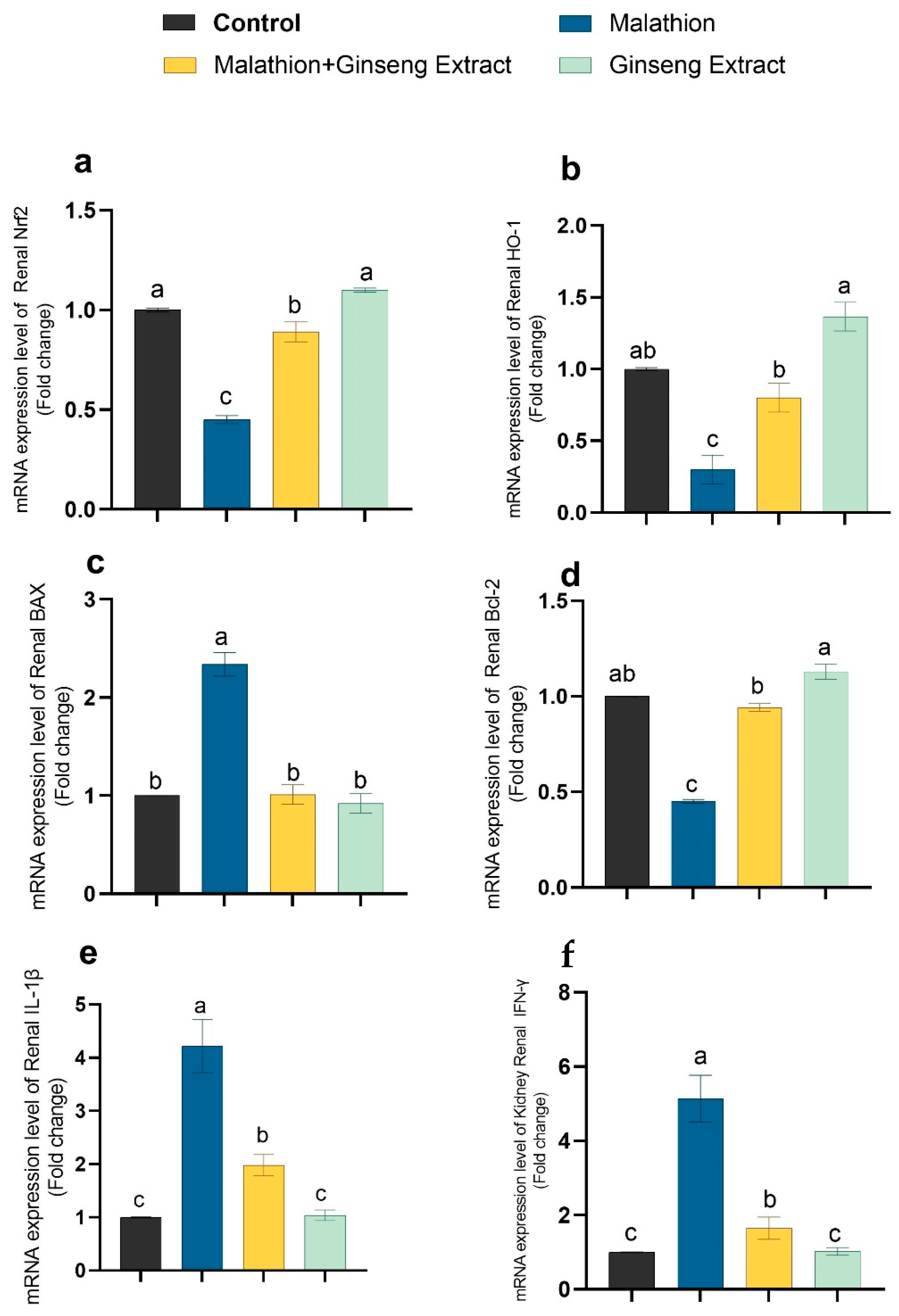 Life 12 00771 g004 550
