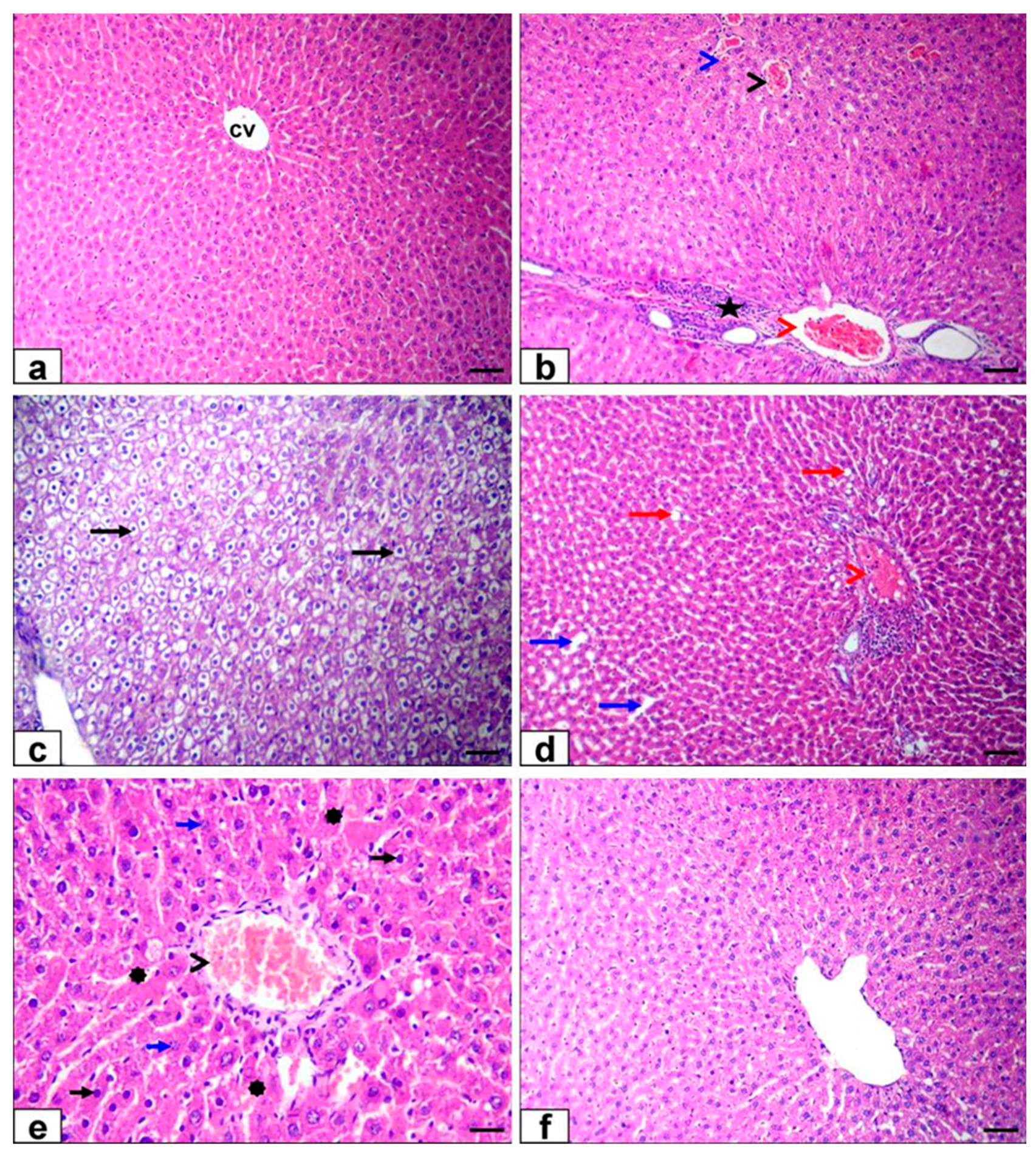 Life 12 00771 g006 550