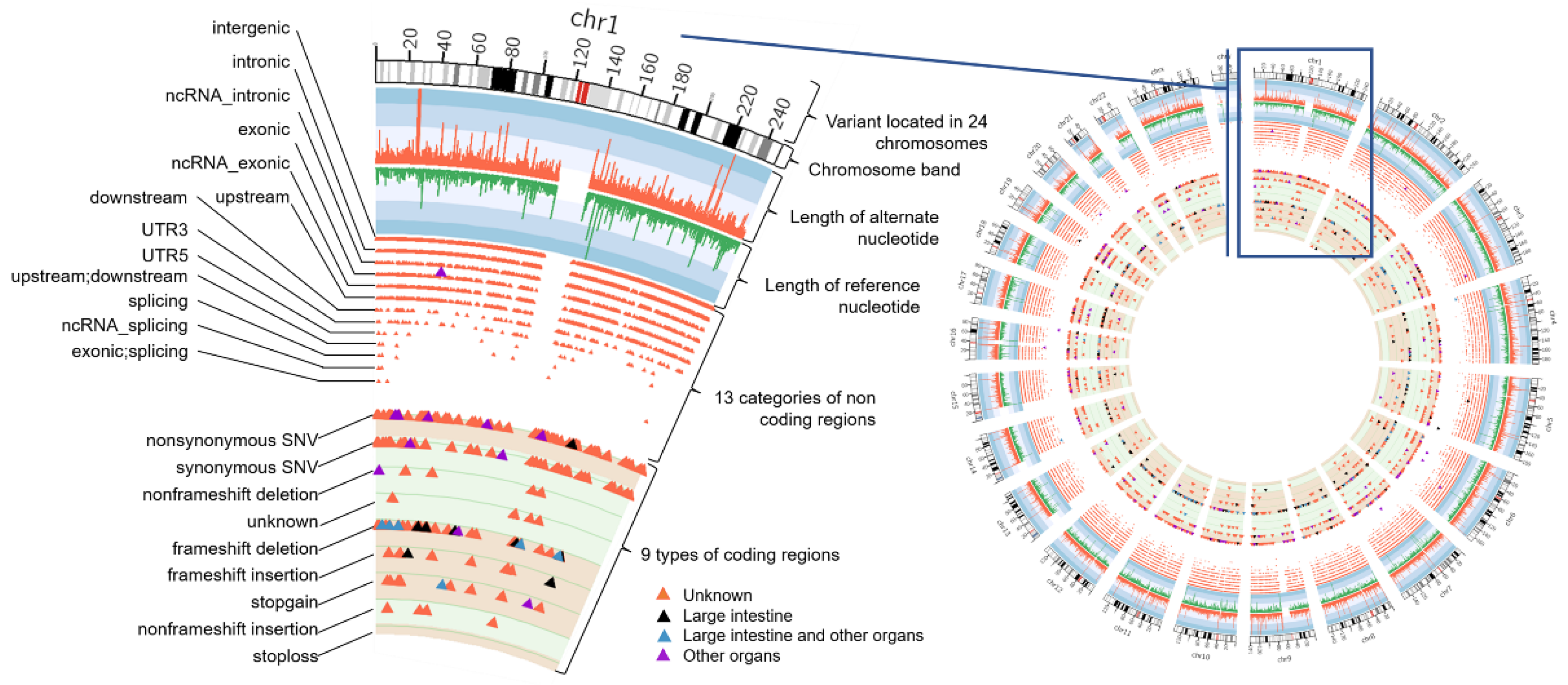 Life 12 00772 g004 Life 12 00772 g004