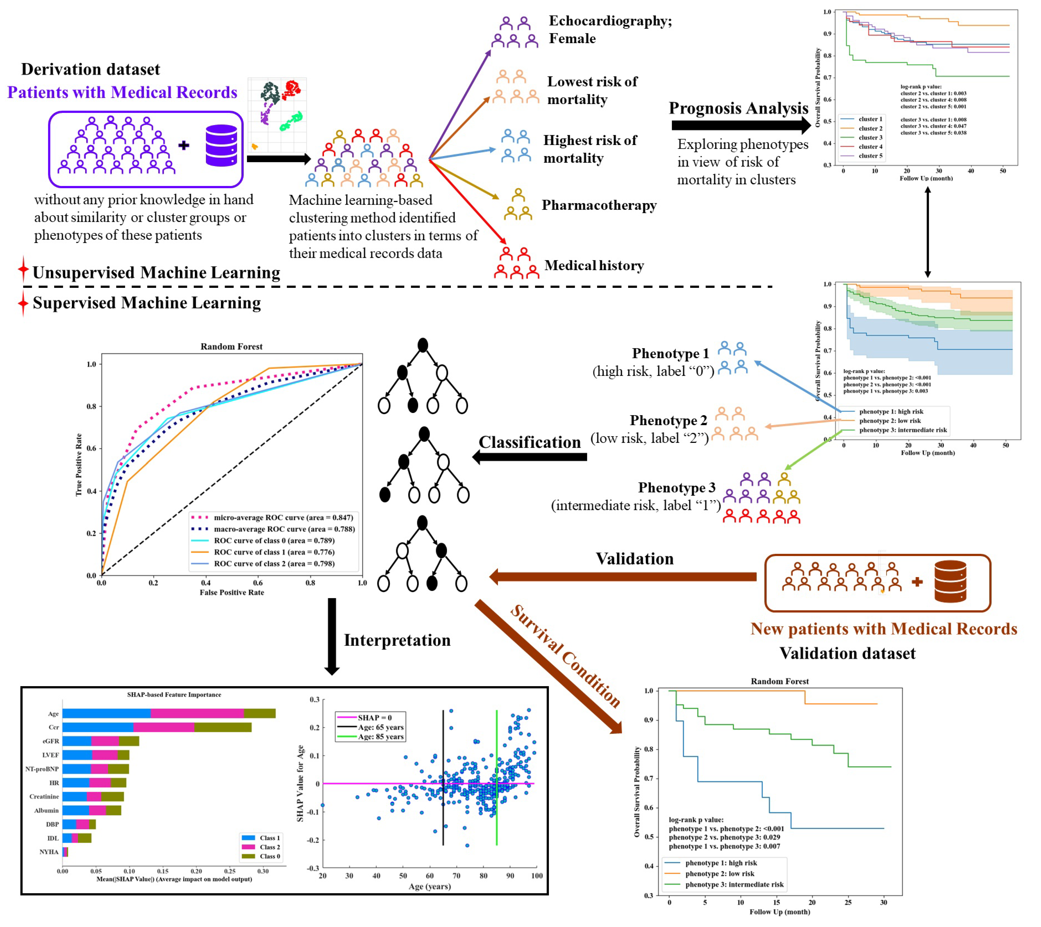 Life 12 00776 g001 550