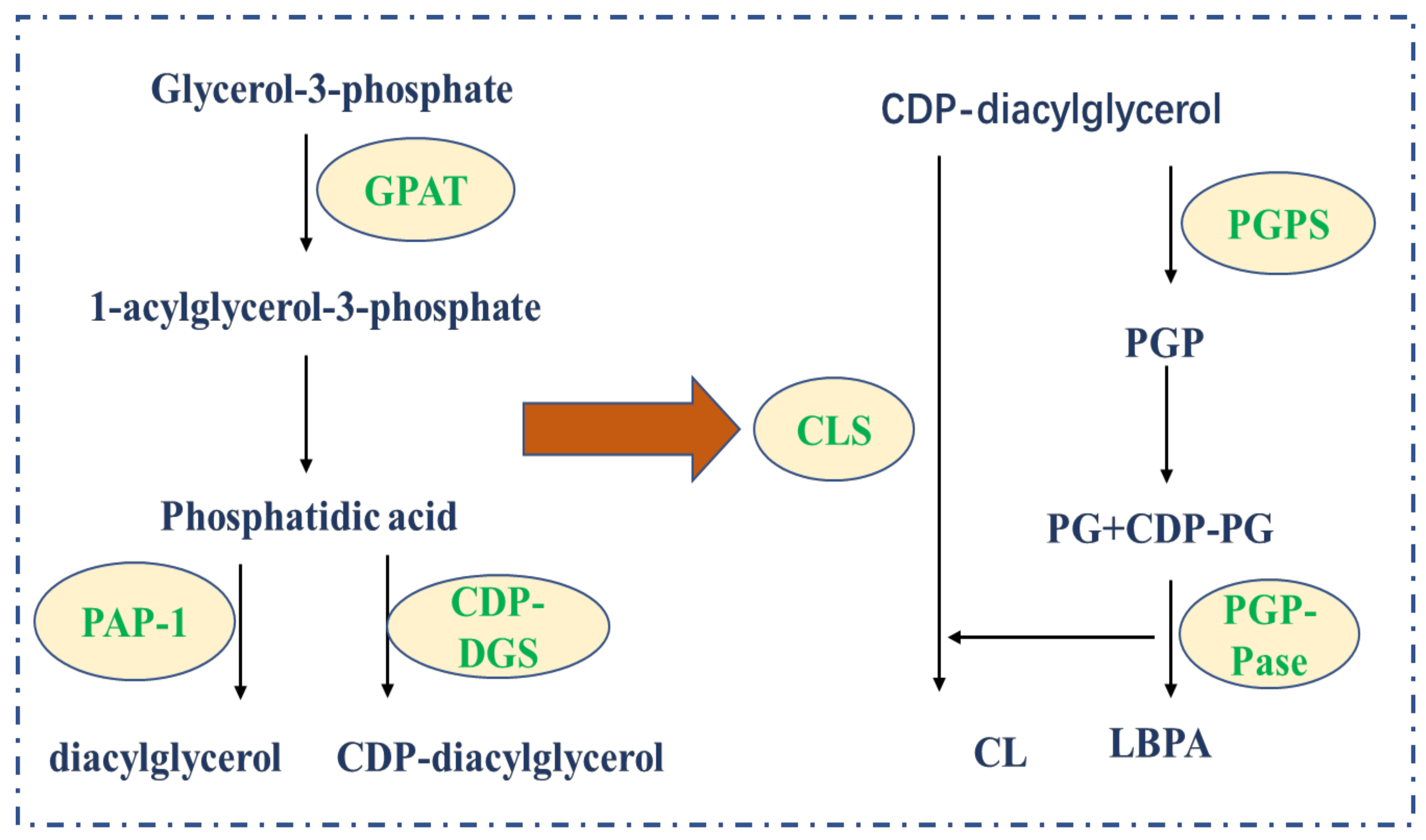 Life 12 00784 g002 Life 12 00784 g002