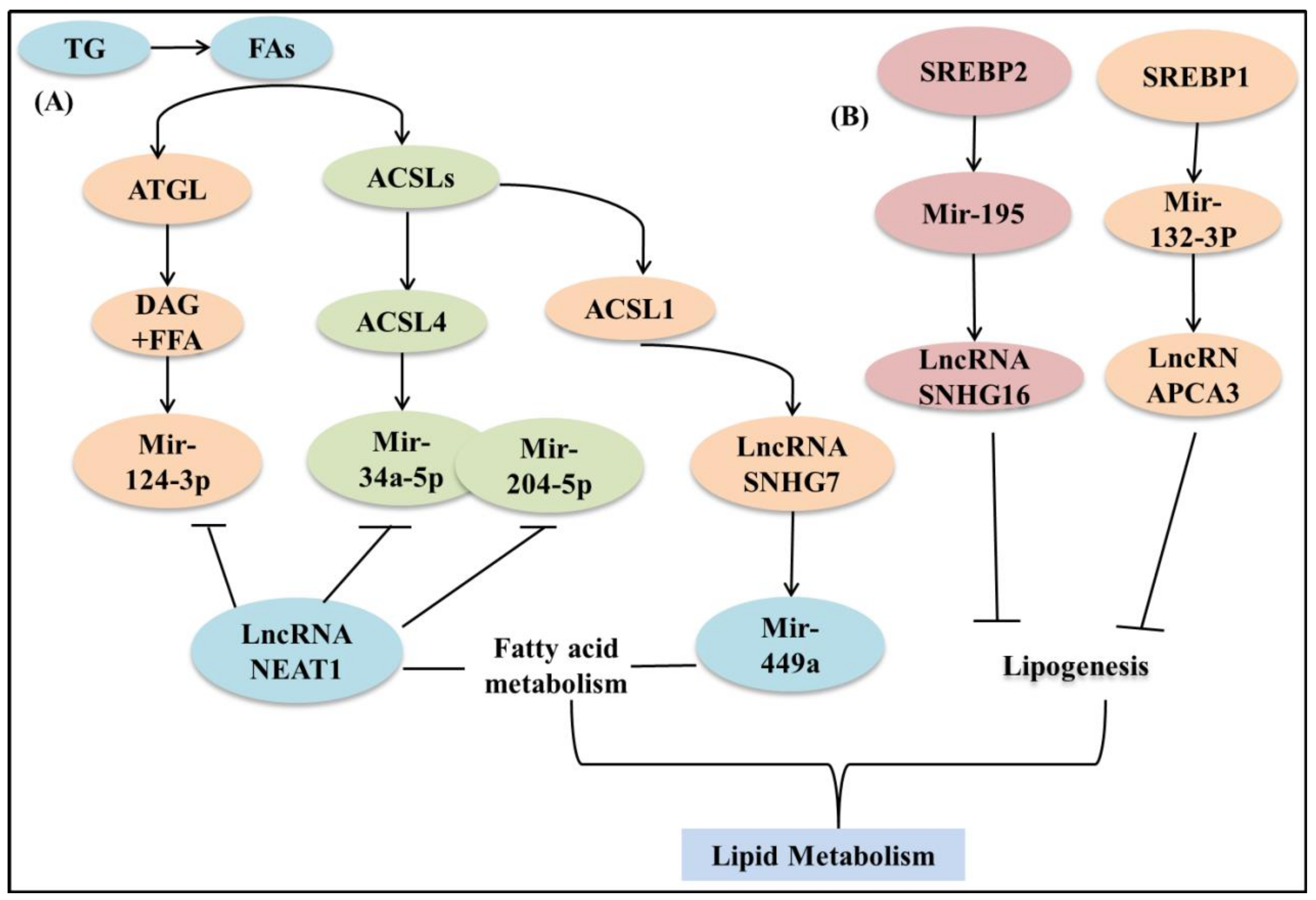 Life 12 00784 g005 Life 12 00784 g005