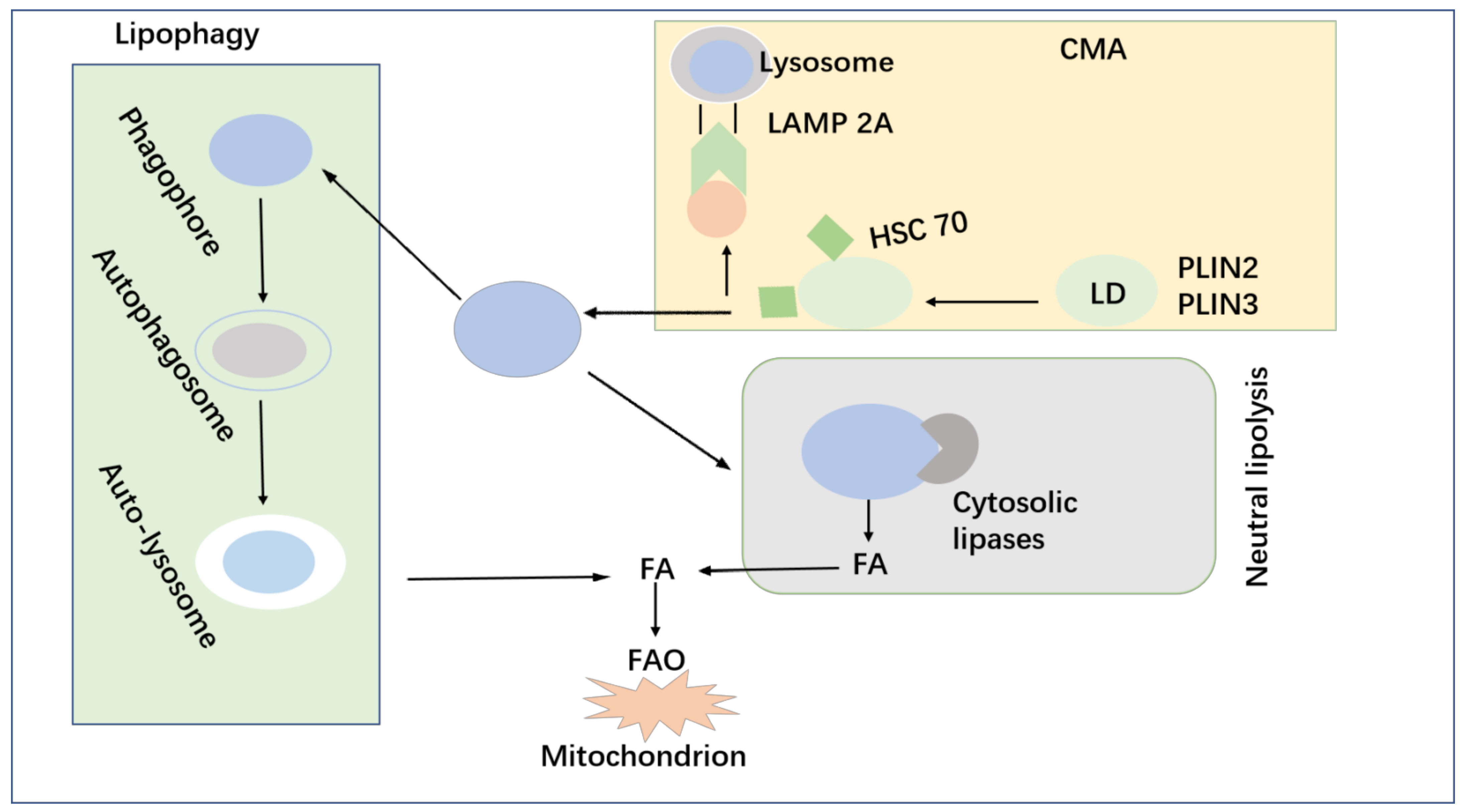 Life 12 00784 g006 Life 12 00784 g006