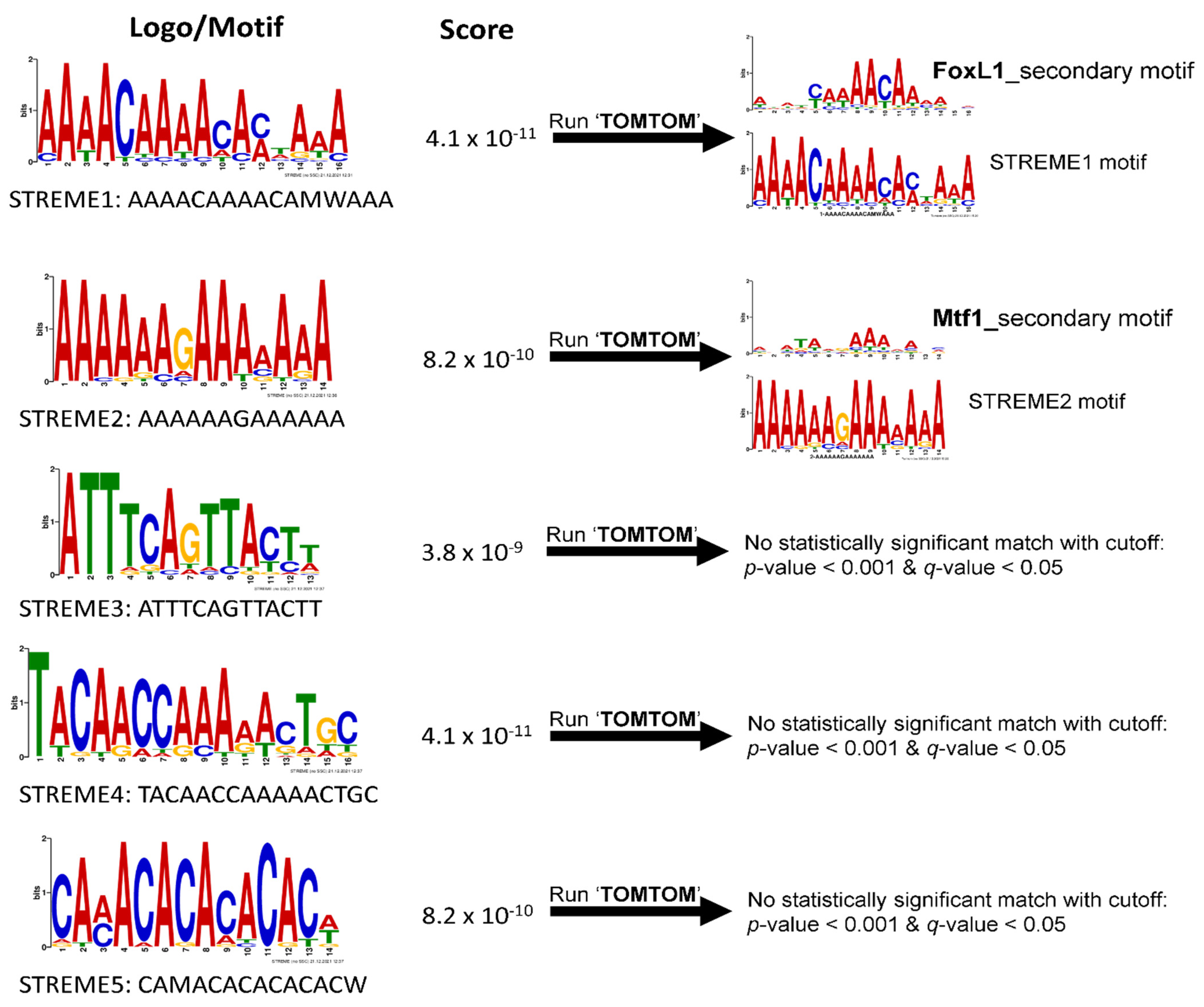 Life 12 00787 g003 Life 12 00787 g003