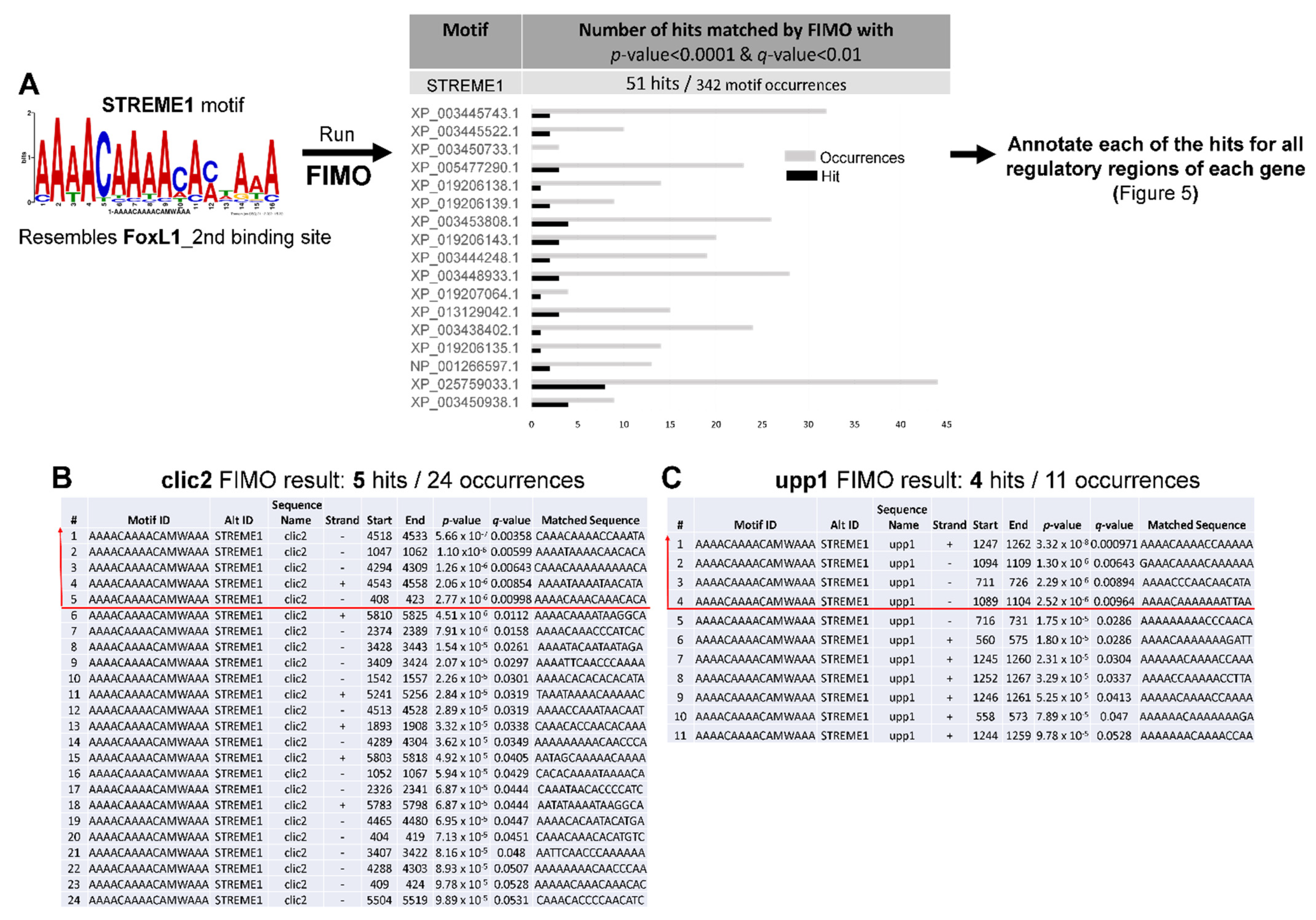 Life 12 00787 g004 Life 12 00787 g004
