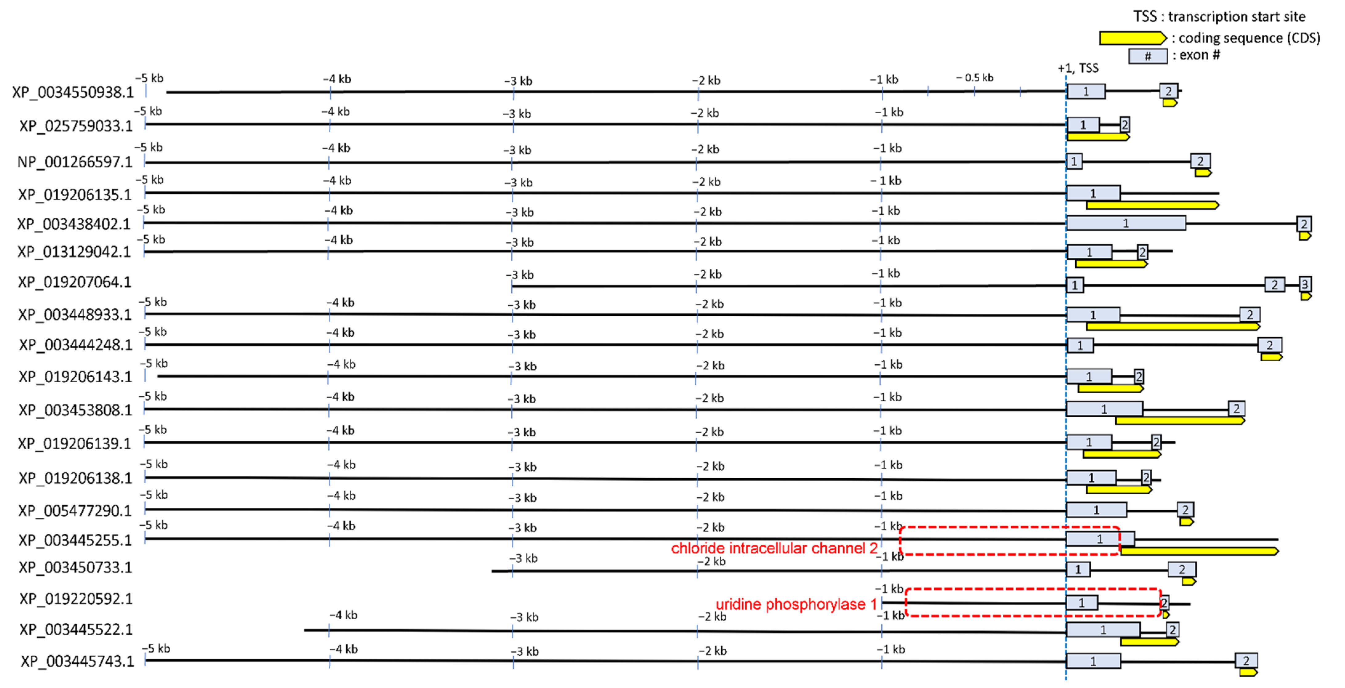 Life 12 00787 g005 Life 12 00787 g005