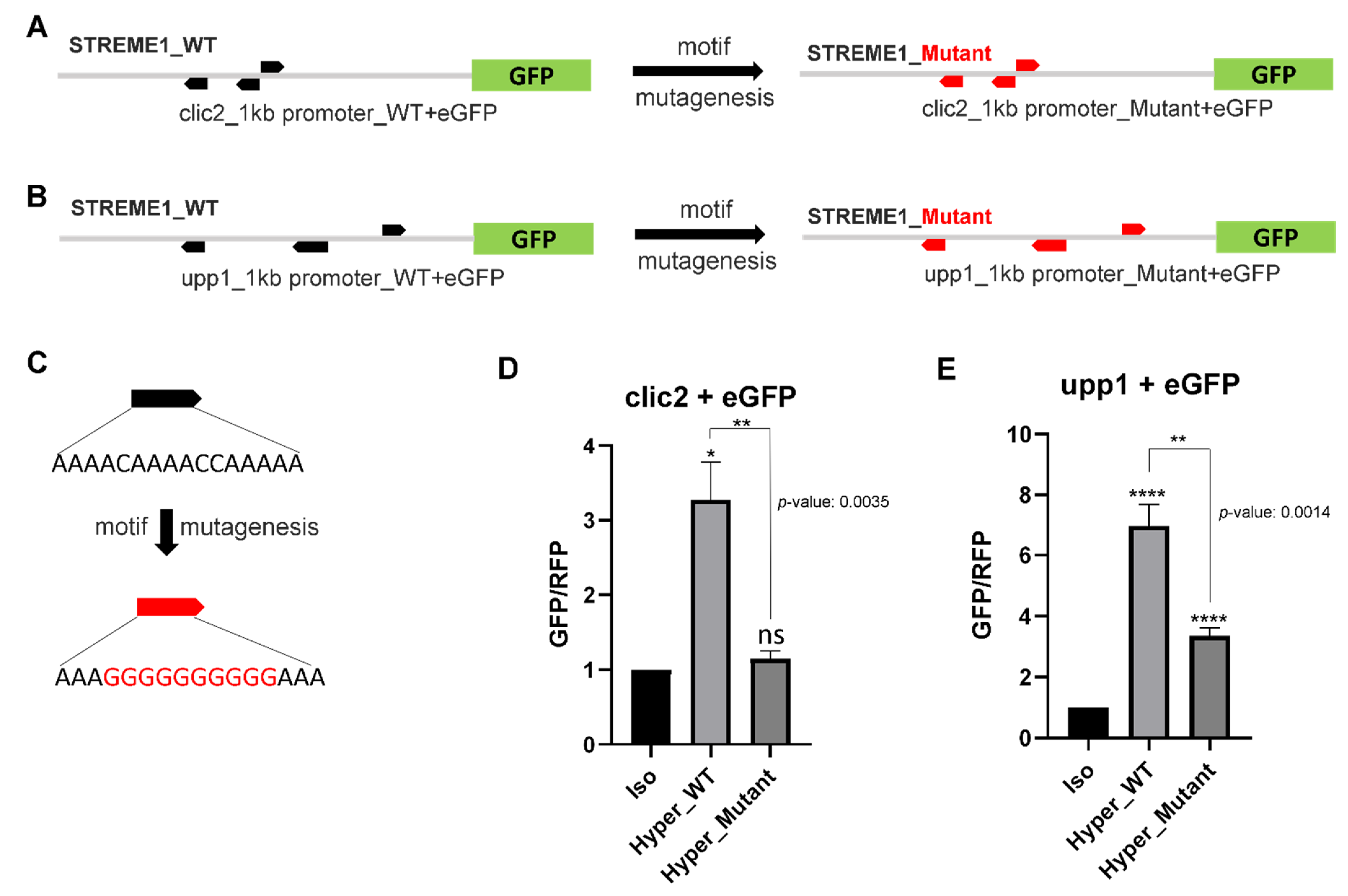 Life 12 00787 g006 Life 12 00787 g006