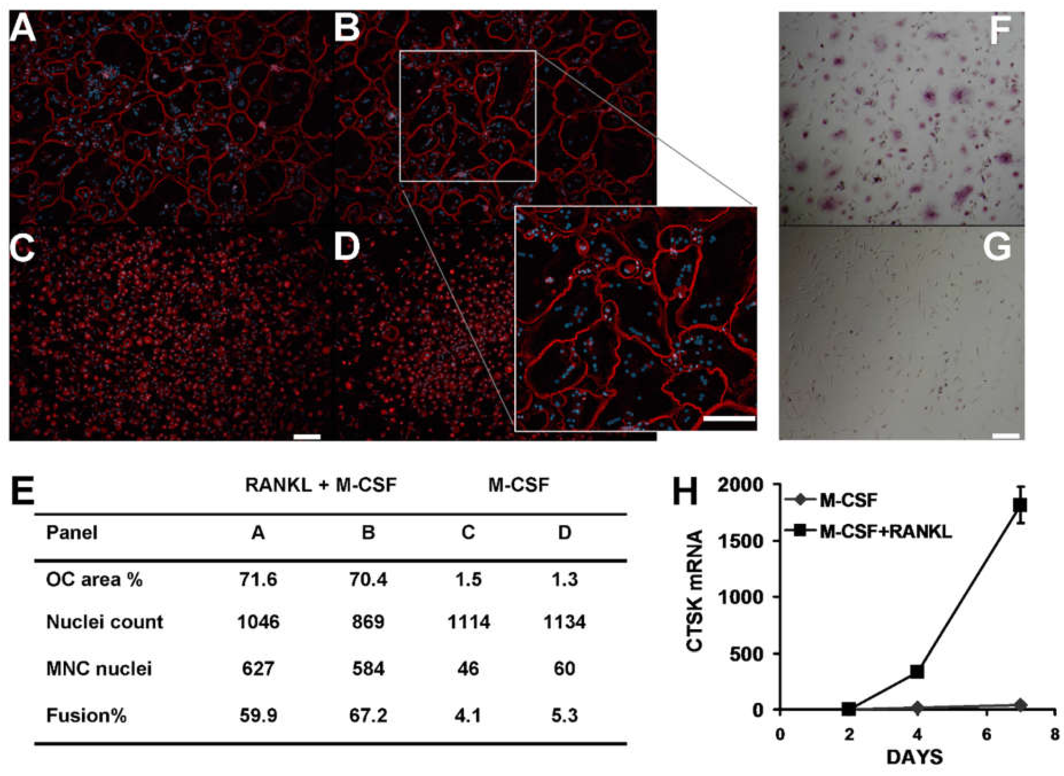 Life 12 00789 g001 550