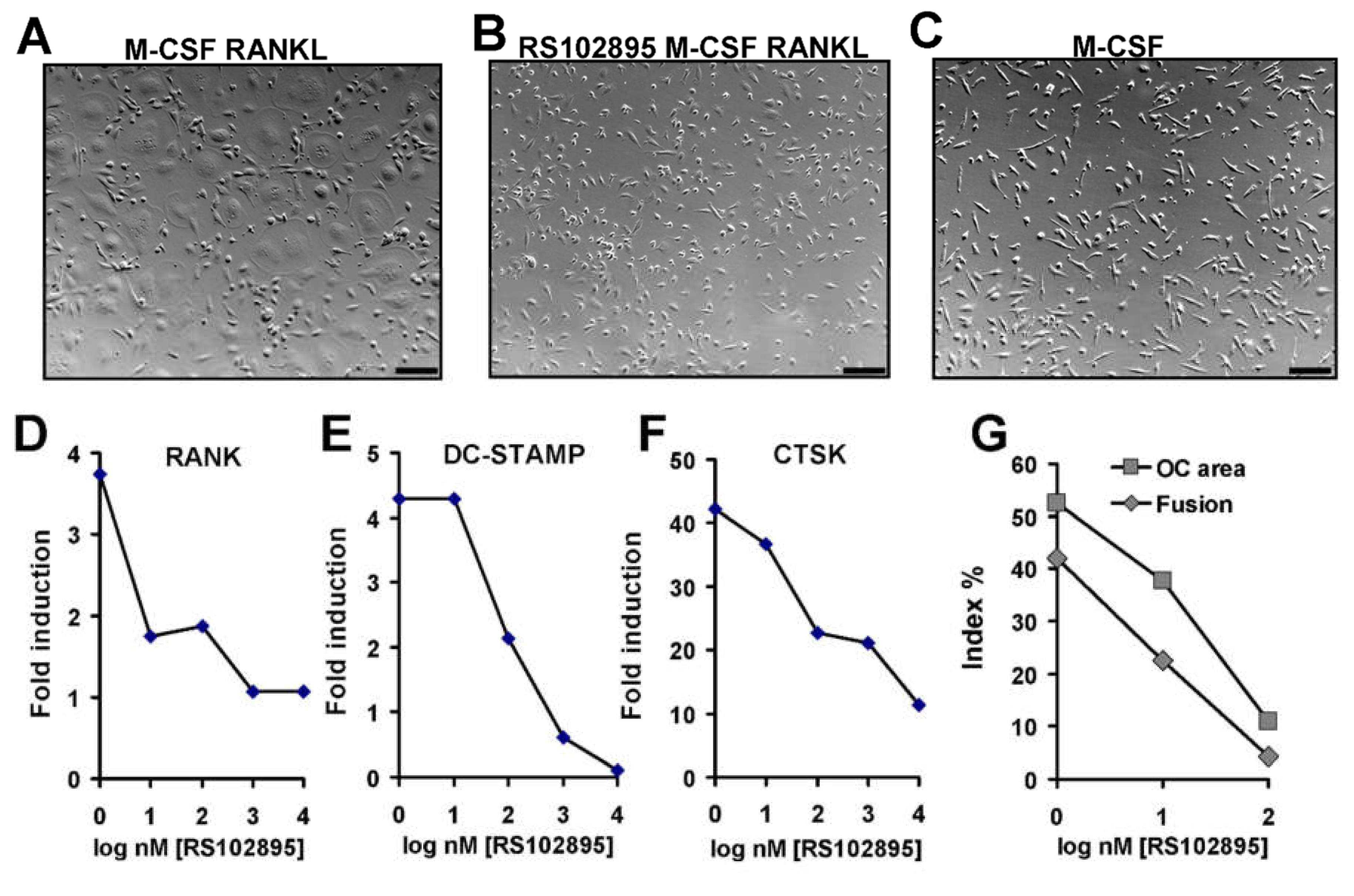 Life 12 00789 g007 550