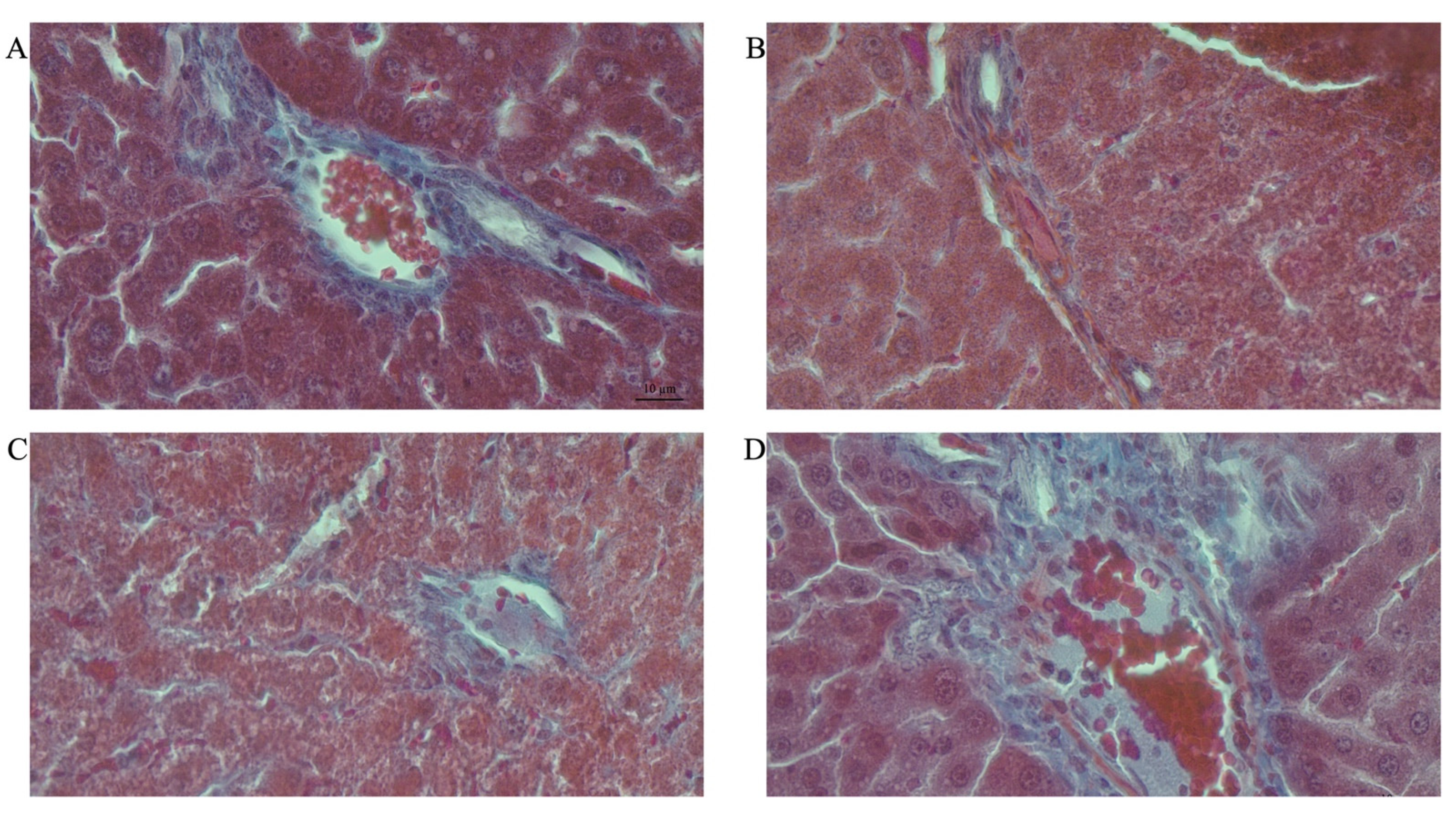 Life 12 00790 g008a 550