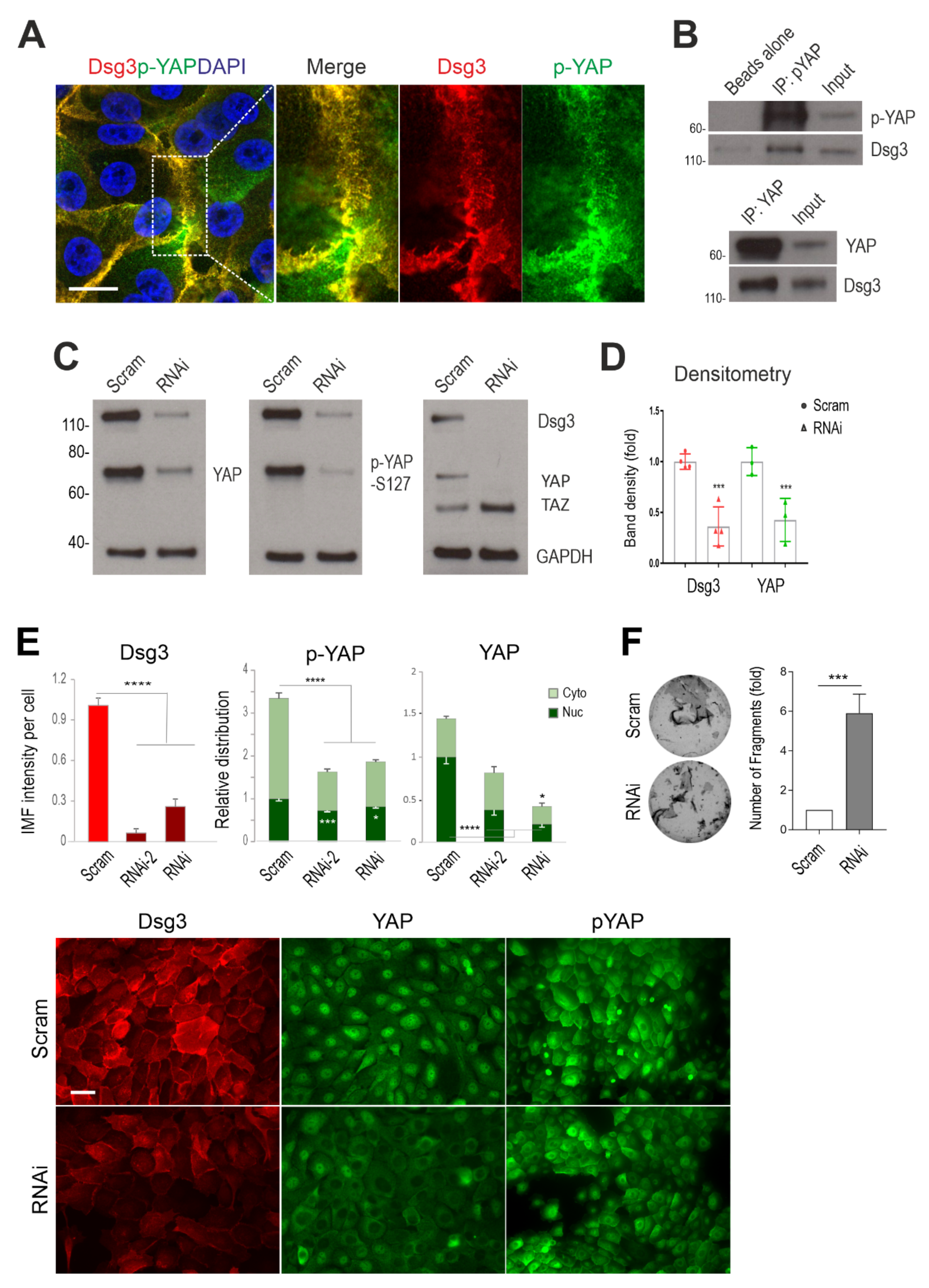 Life 12 00792 g001 550