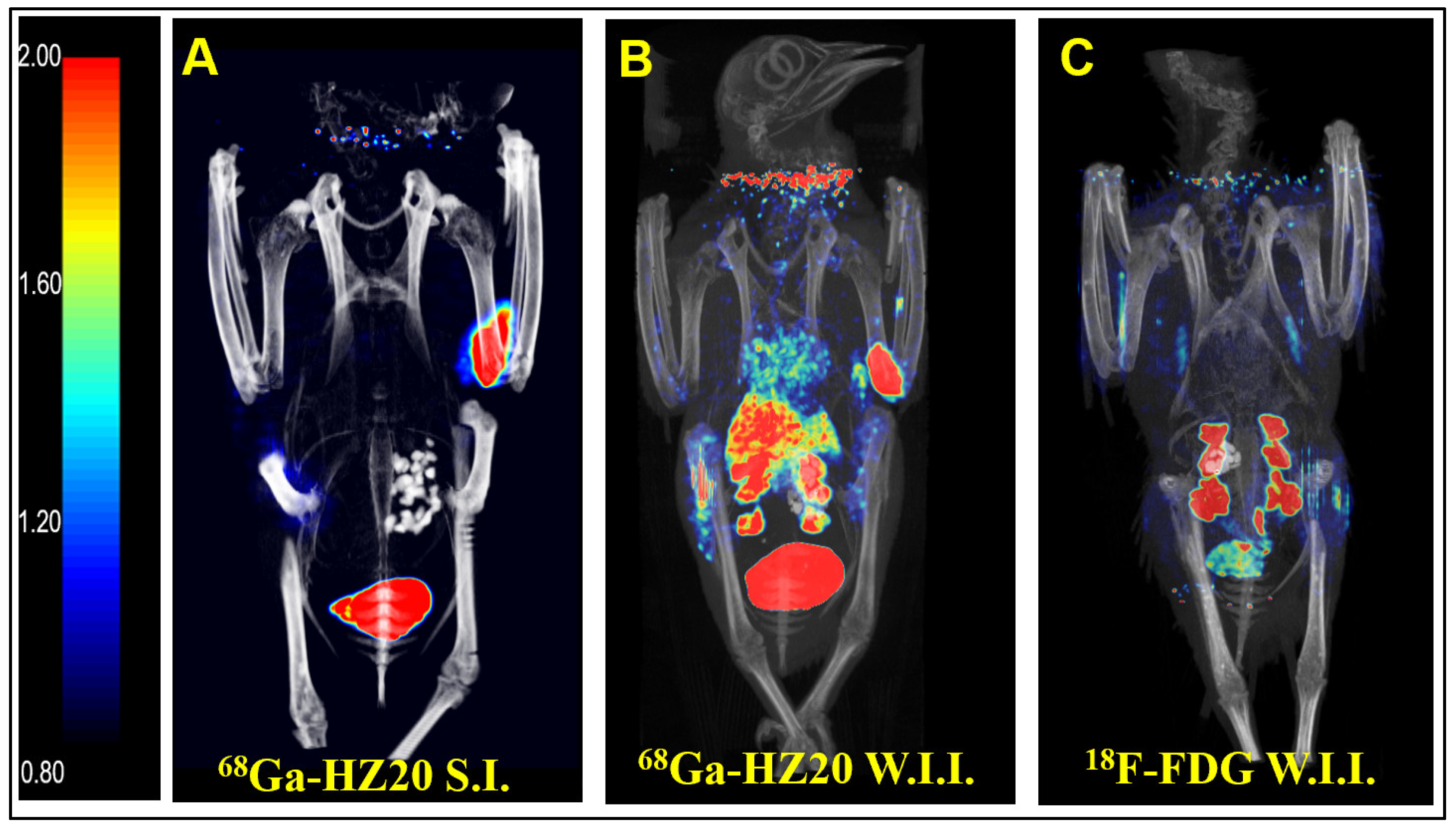 Life 12 00793 g001 550