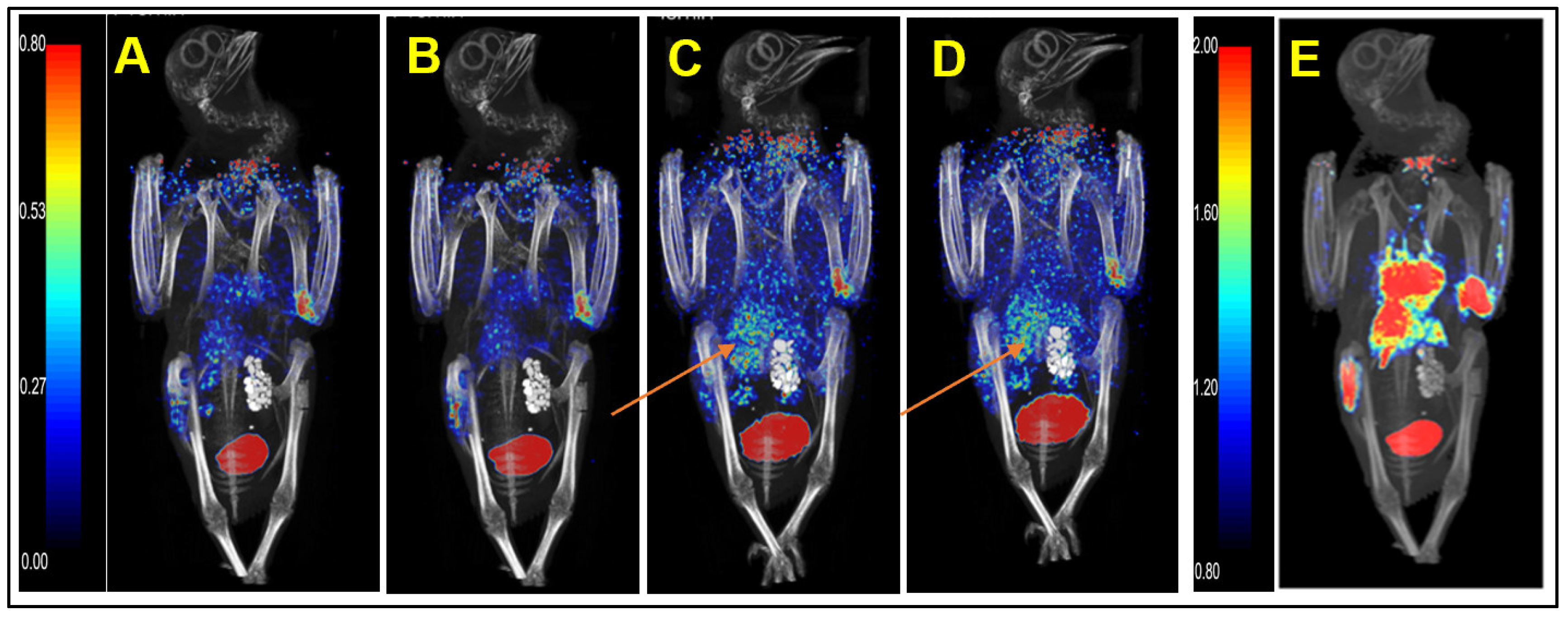 Life 12 00793 g002 550