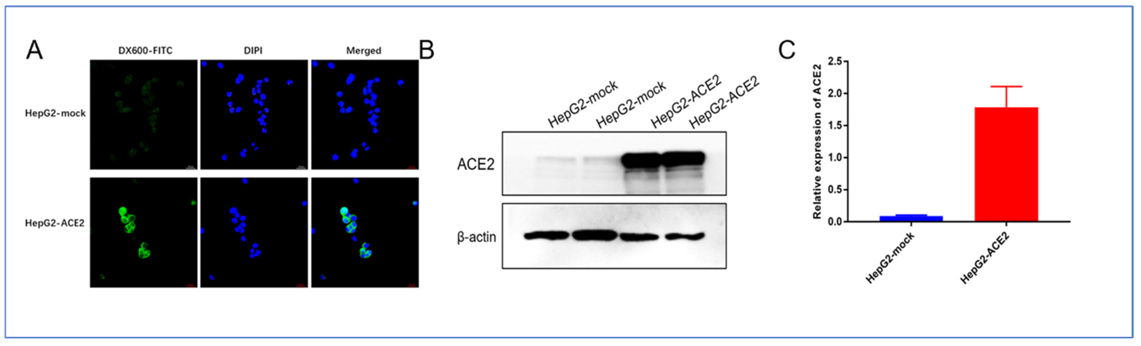 Life 12 00793 g006 550