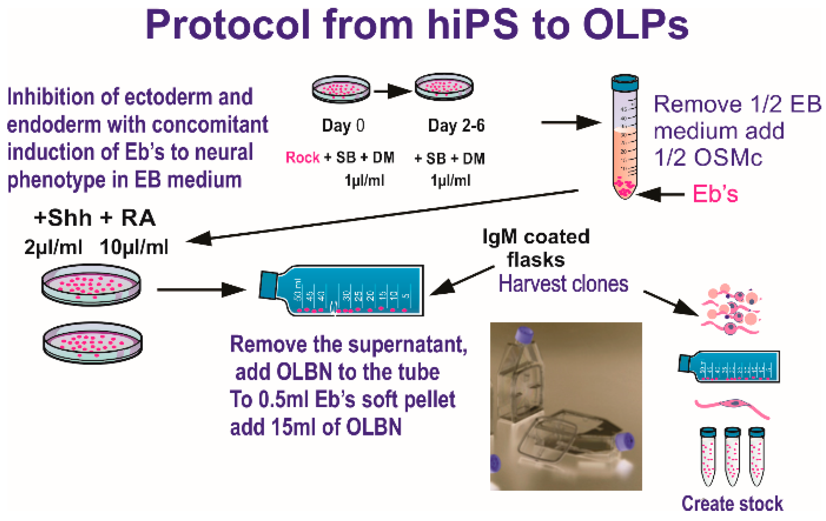 Life 12 00797 g001 Life 12 00797 g001