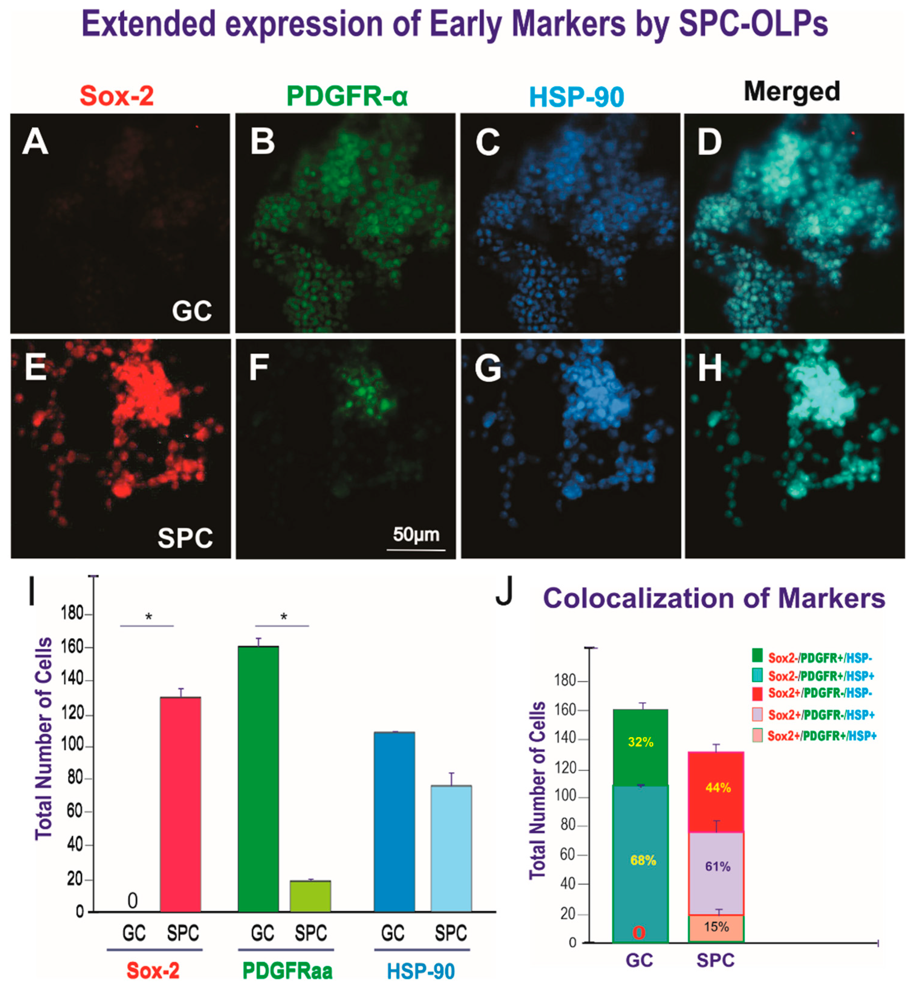 Life 12 00797 g008 Life 12 00797 g008