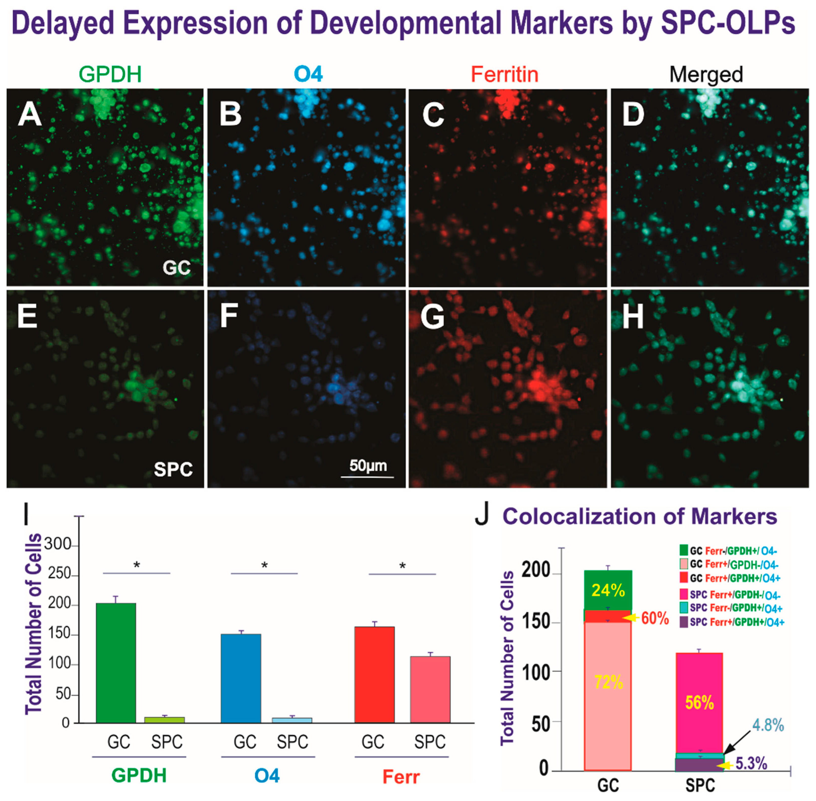 Life 12 00797 g009 Life 12 00797 g009