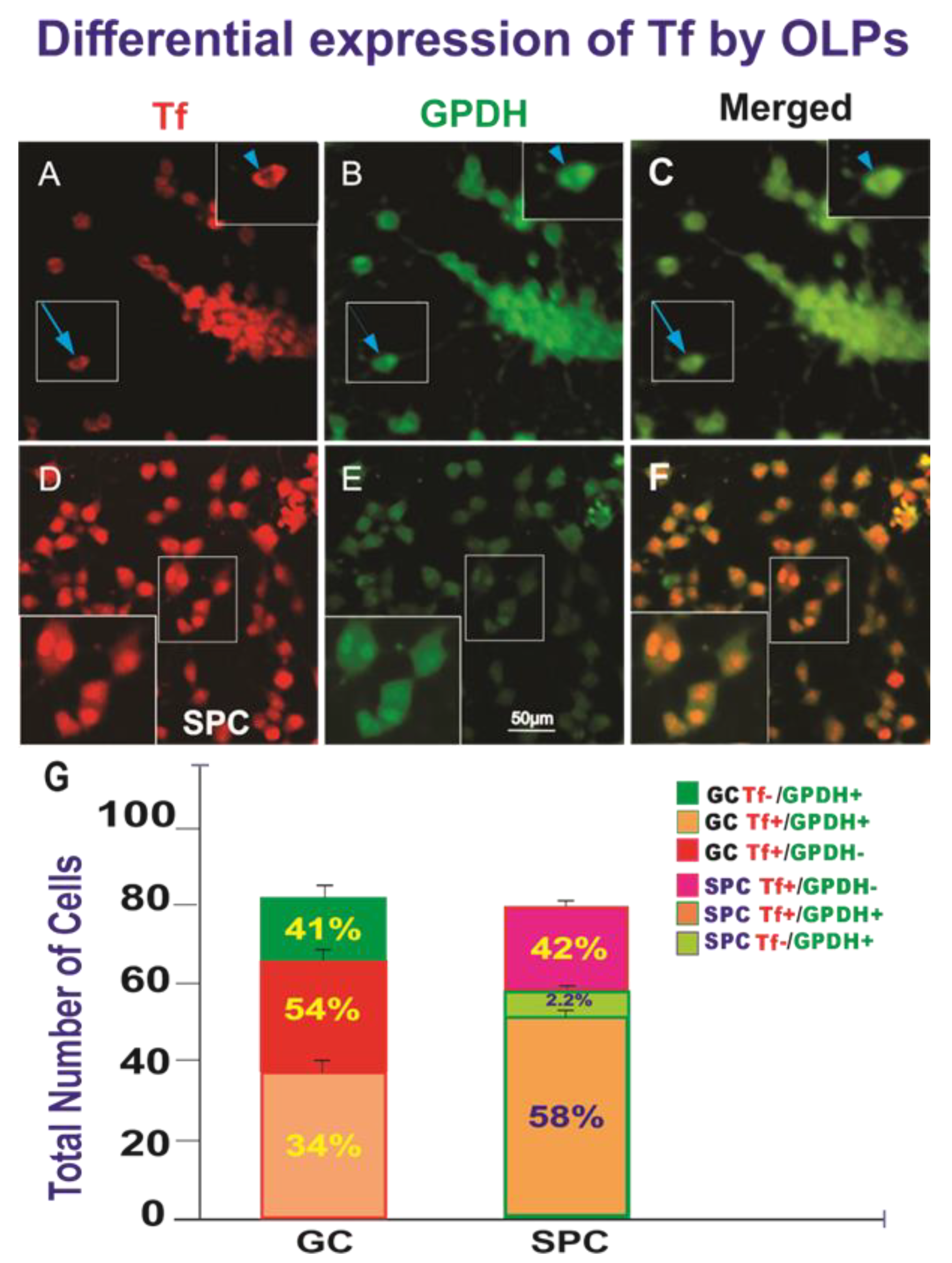 Life 12 00797 g010 Life 12 00797 g010