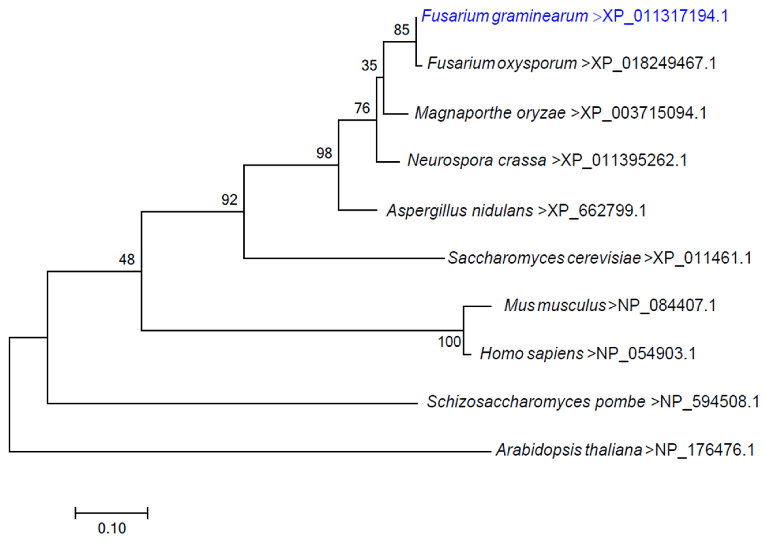 Life 12 00799 g001 550