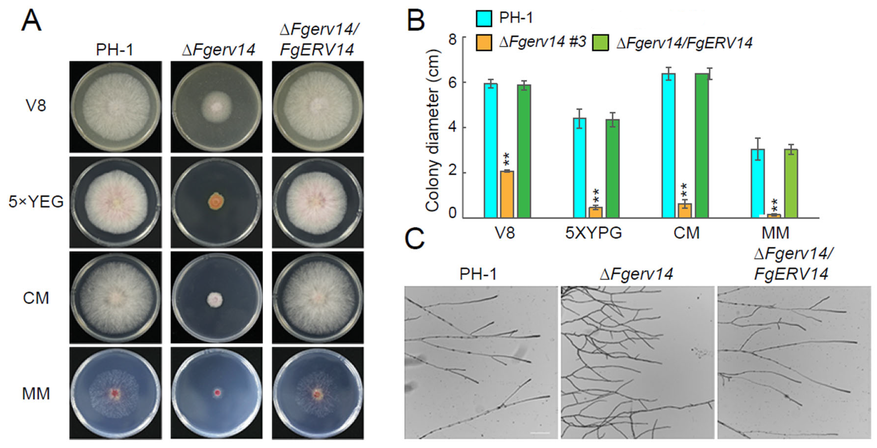 Life 12 00799 g002 550