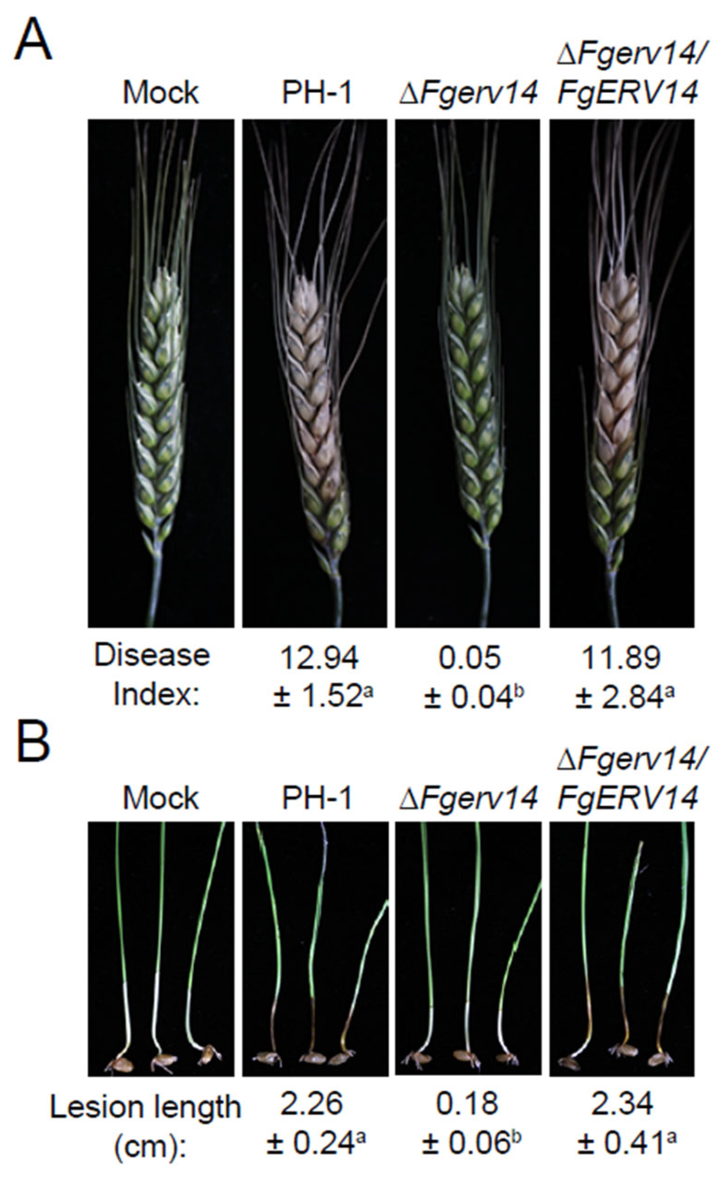 Life 12 00799 g005 550