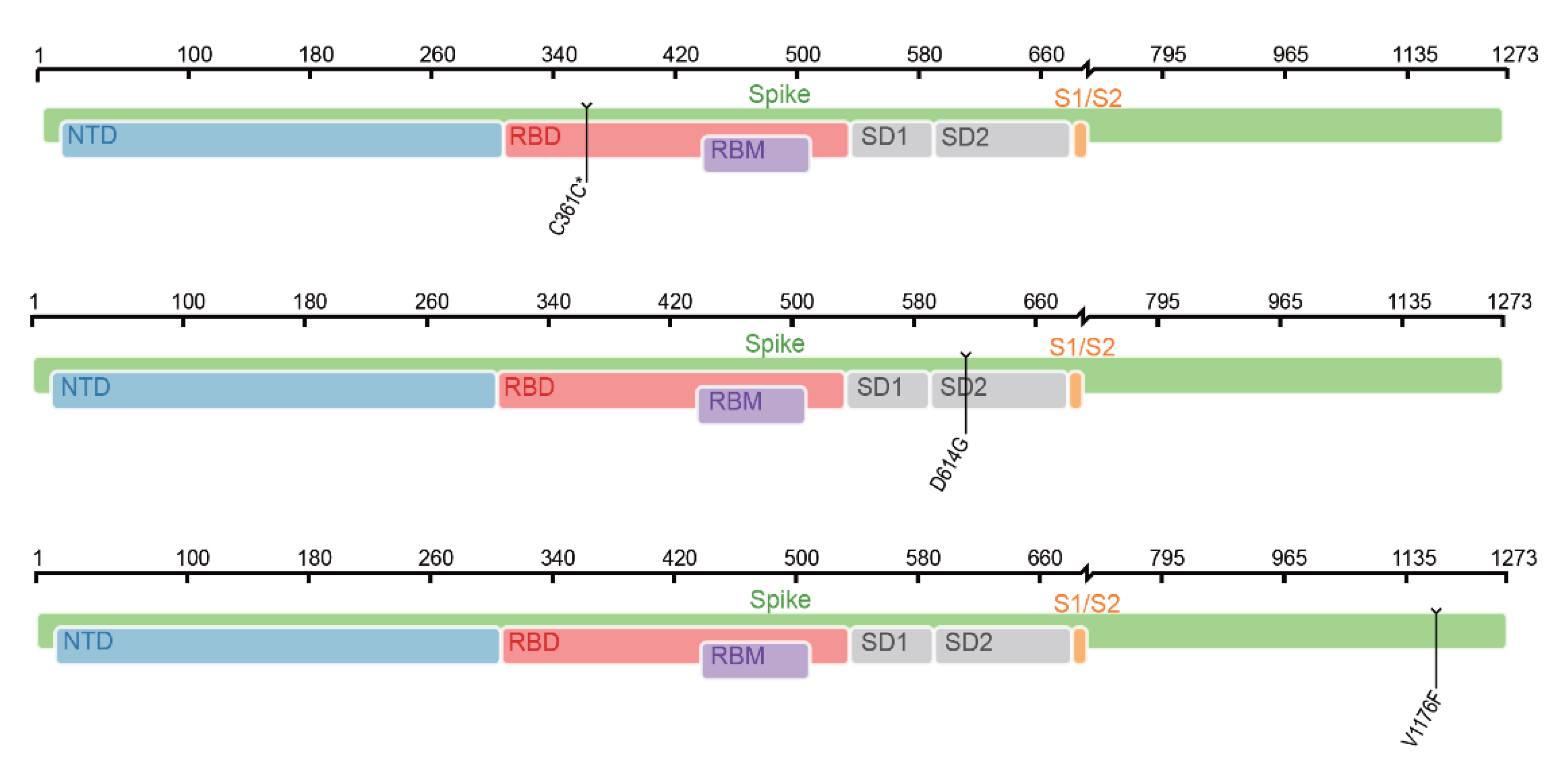 Life 12 00806 g009 550