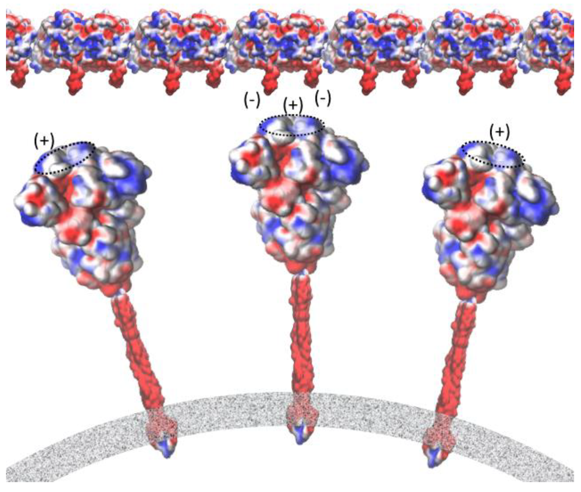 Life 12 00814 g008 550