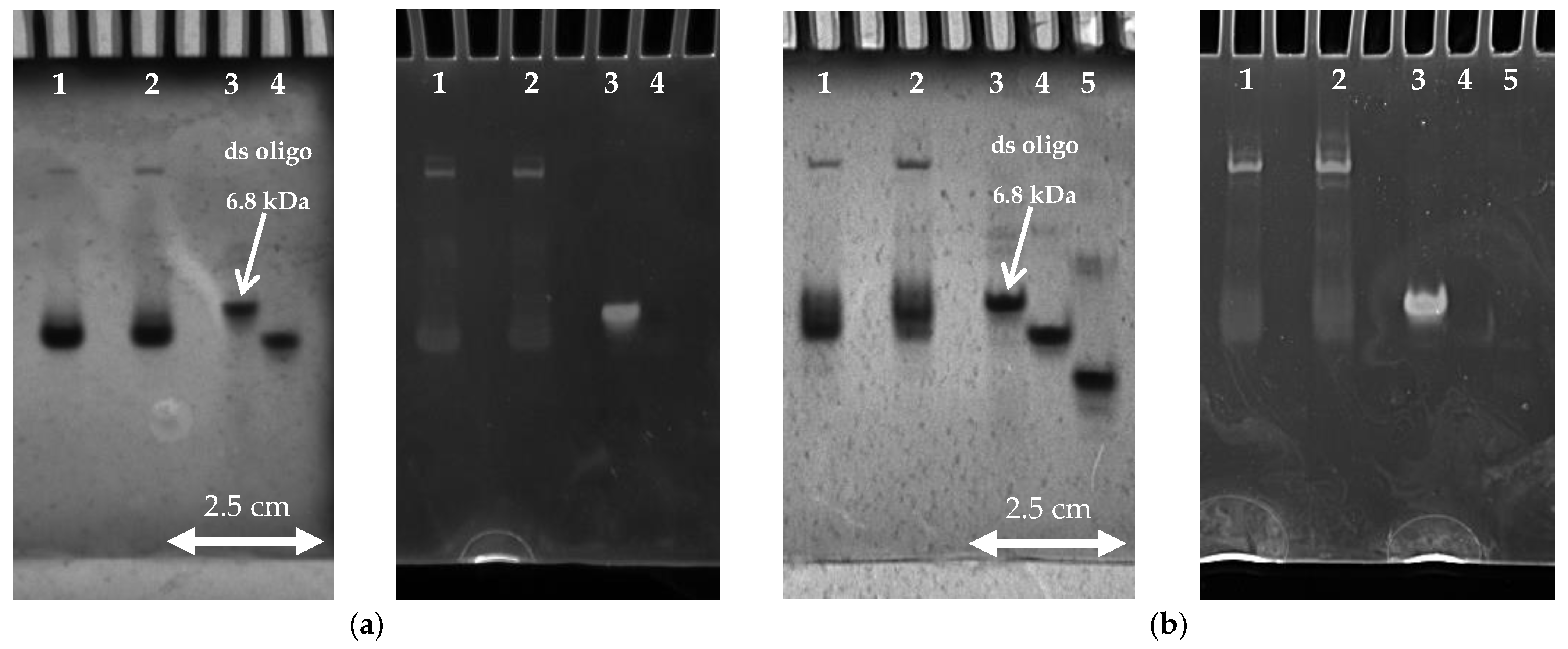 Life 12 00825 g003 550